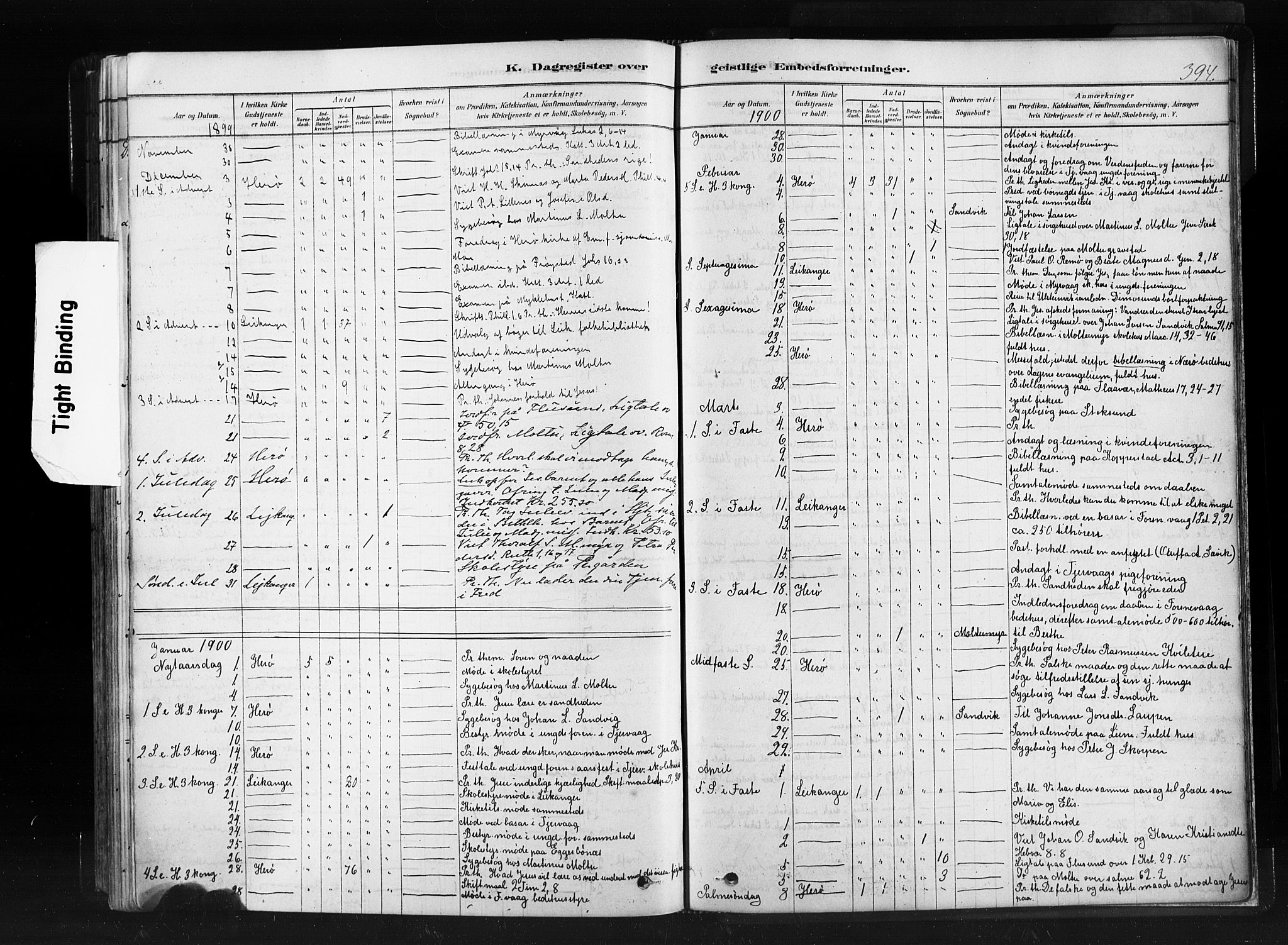 Ministerialprotokoller, klokkerbøker og fødselsregistre - Møre og Romsdal, AV/SAT-A-1454/507/L0073: Parish register (official) no. 507A08, 1878-1904, p. 394