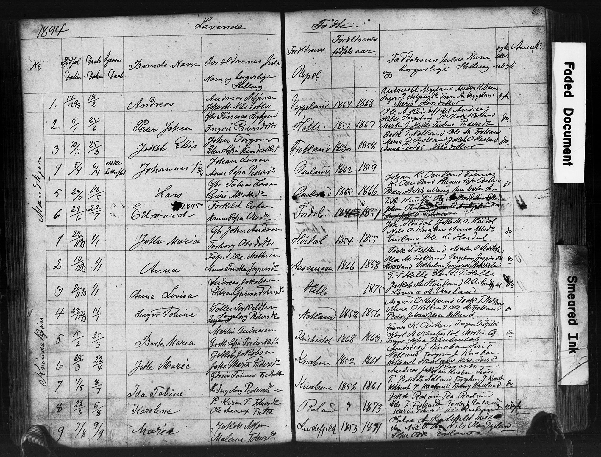 Fjotland sokneprestkontor, SAK/1111-0010/F/Fb/L0003: Parish register (copy) no. B 3, 1872-1924, p. 64