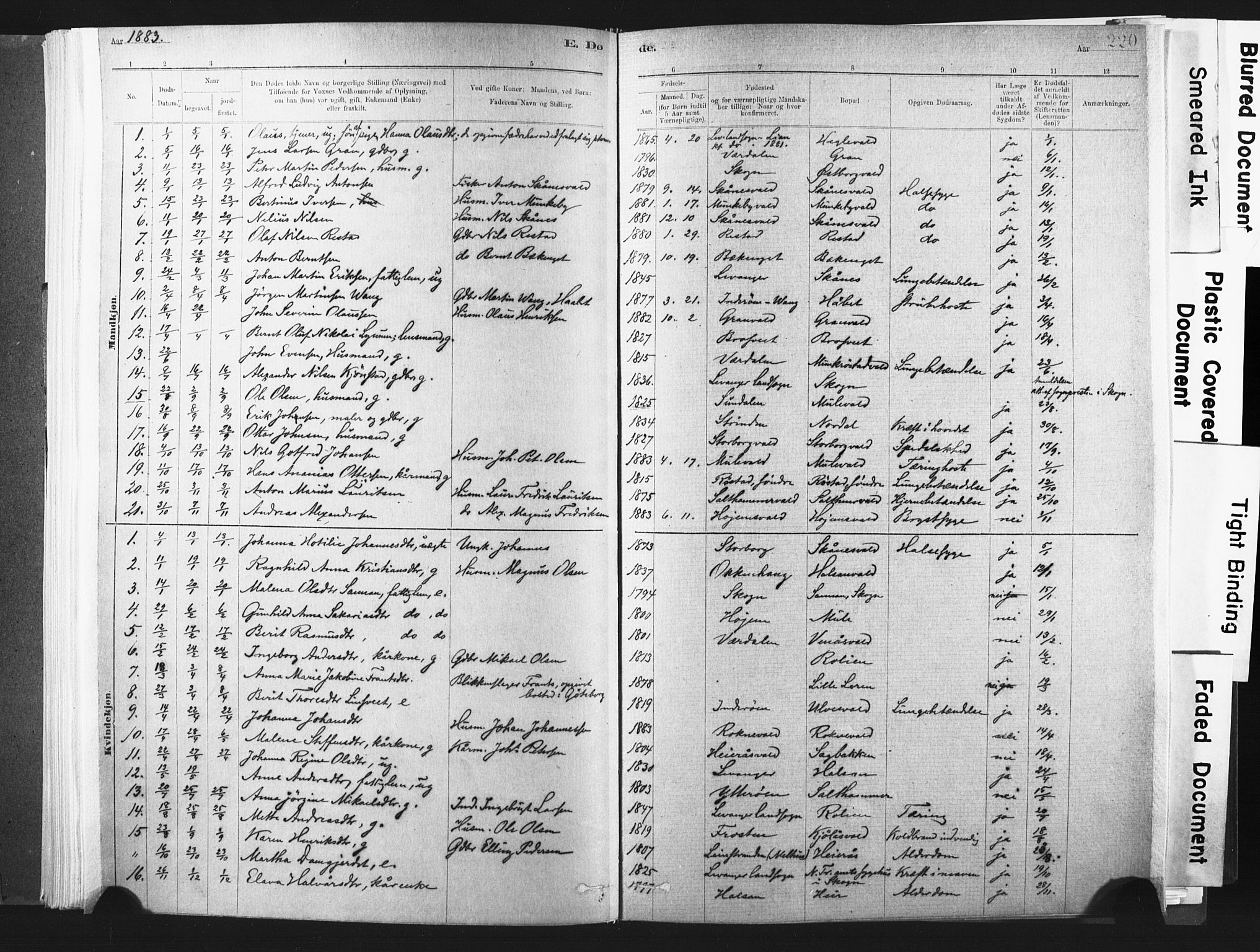 Ministerialprotokoller, klokkerbøker og fødselsregistre - Nord-Trøndelag, SAT/A-1458/721/L0207: Parish register (official) no. 721A02, 1880-1911, p. 220