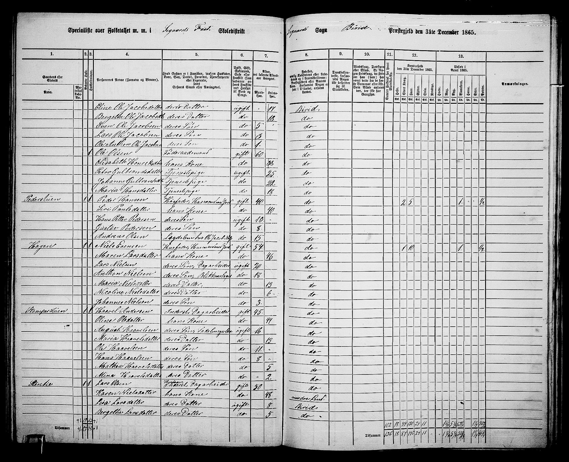 RA, 1865 census for Biri, 1865, p. 164