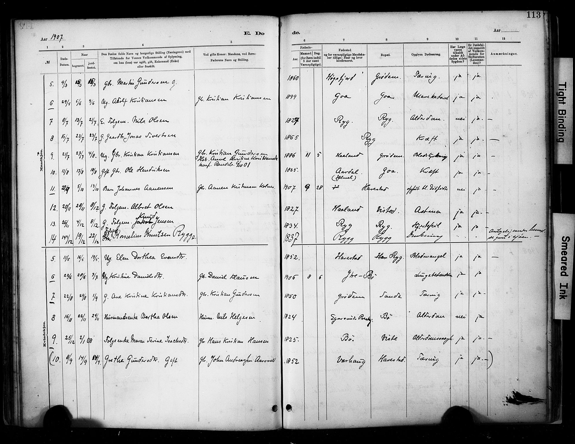 Hetland sokneprestkontor, SAST/A-101826/30/30BA/L0009: Parish register (official) no. A 9, 1882-1918, p. 113