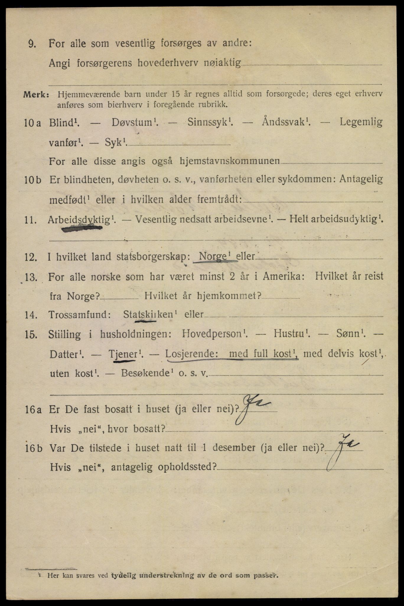 SAKO, 1920 census for Hønefoss, 1920, p. 6619