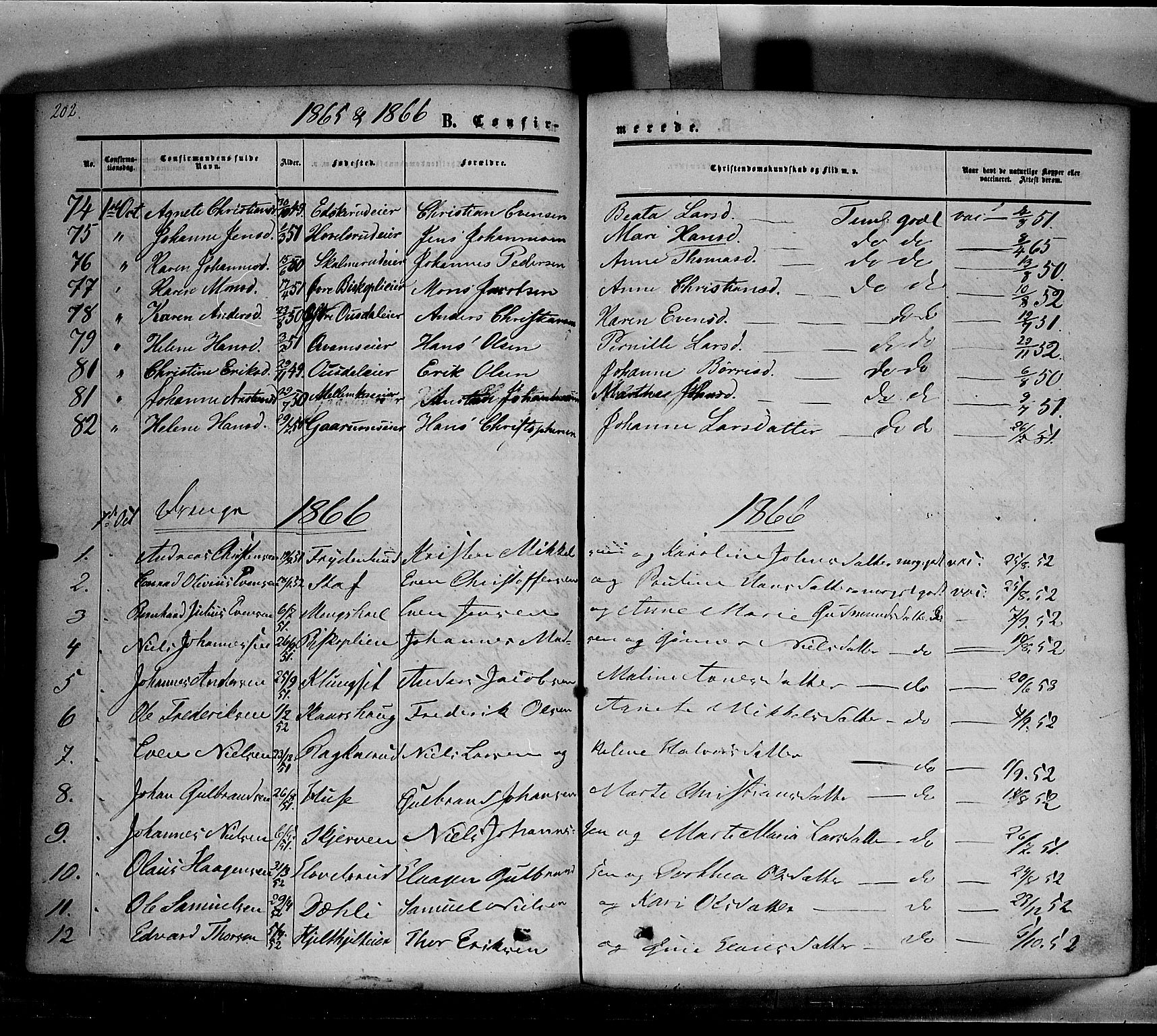 Nes prestekontor, Hedmark, AV/SAH-PREST-020/K/Ka/L0004: Parish register (official) no. 4, 1852-1886, p. 202