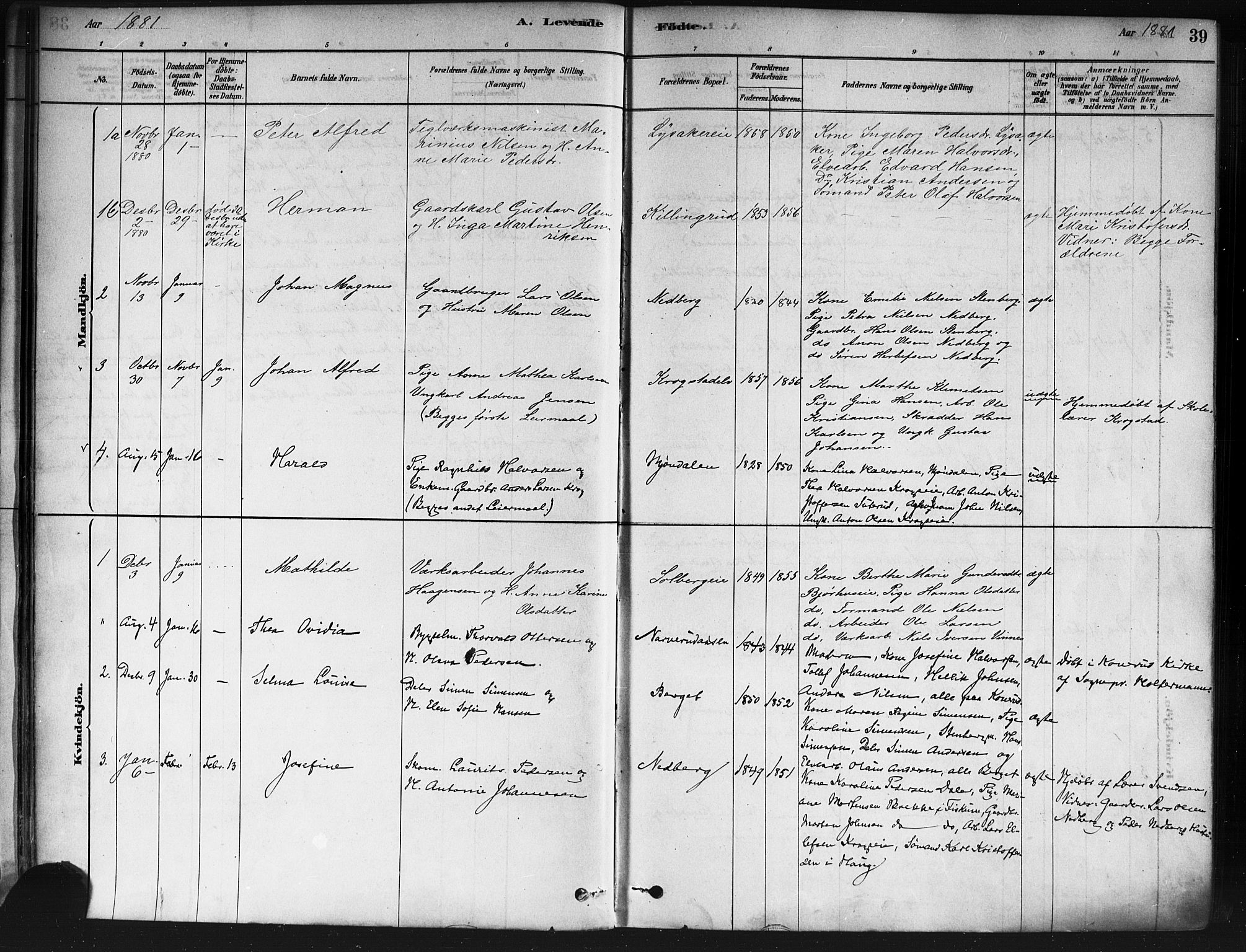 Nedre Eiker kirkebøker, SAKO/A-612/F/Fa/L0002: Parish register (official) no. 2, 1878-1885, p. 39