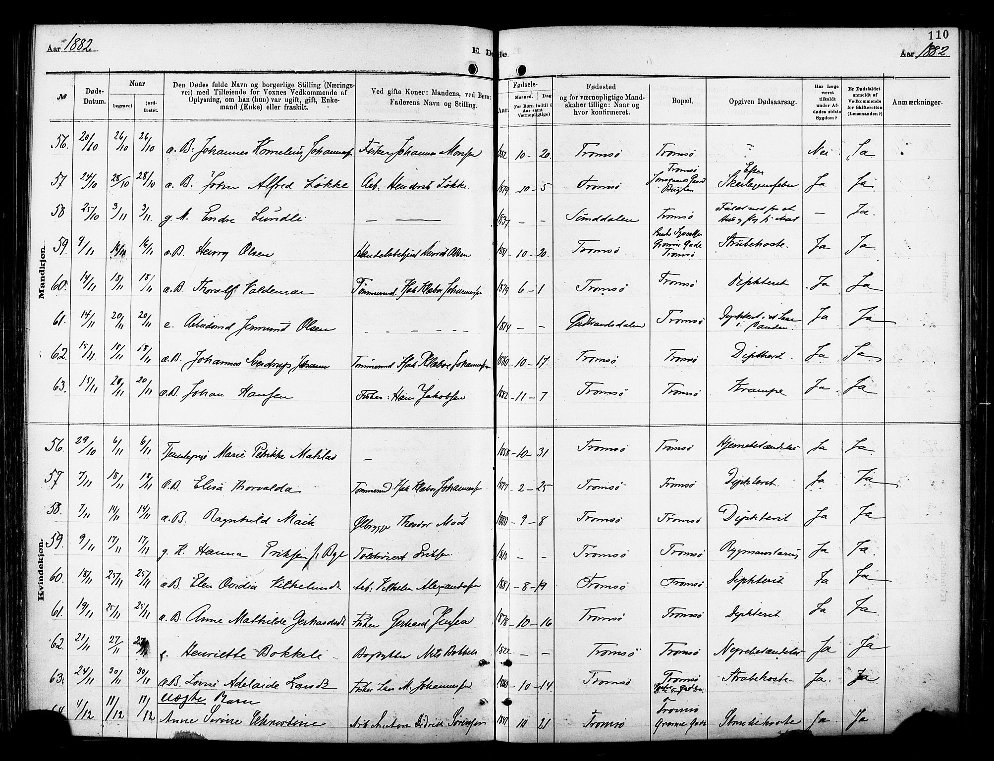 Tromsø sokneprestkontor/stiftsprosti/domprosti, AV/SATØ-S-1343/G/Ga/L0014kirke: Parish register (official) no. 14, 1878-1888, p. 110