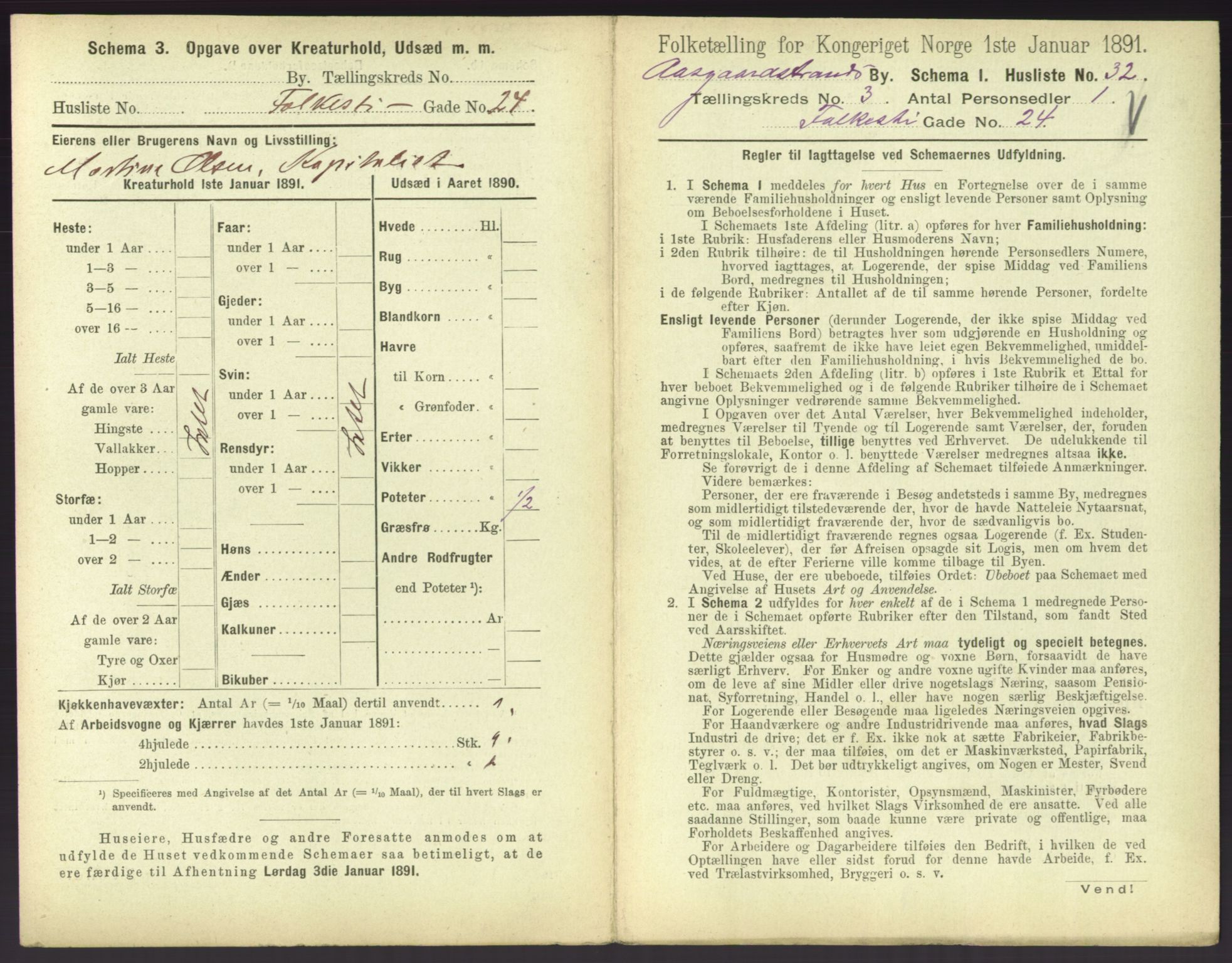 RA, 1891 census for 0704 Åsgårdstrand, 1891, p. 199