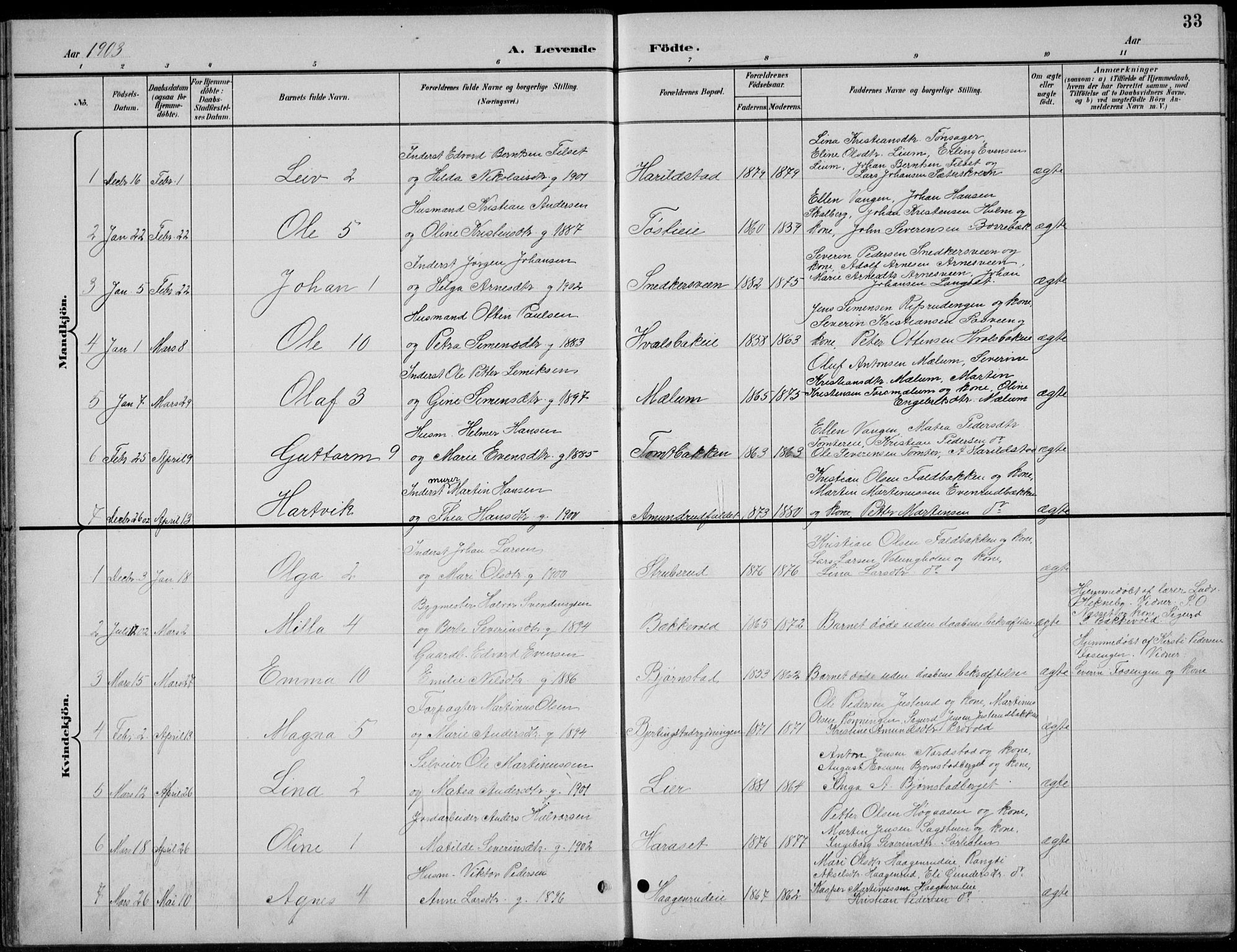 Romedal prestekontor, AV/SAH-PREST-004/L/L0013: Parish register (copy) no. 13, 1896-1937, p. 33