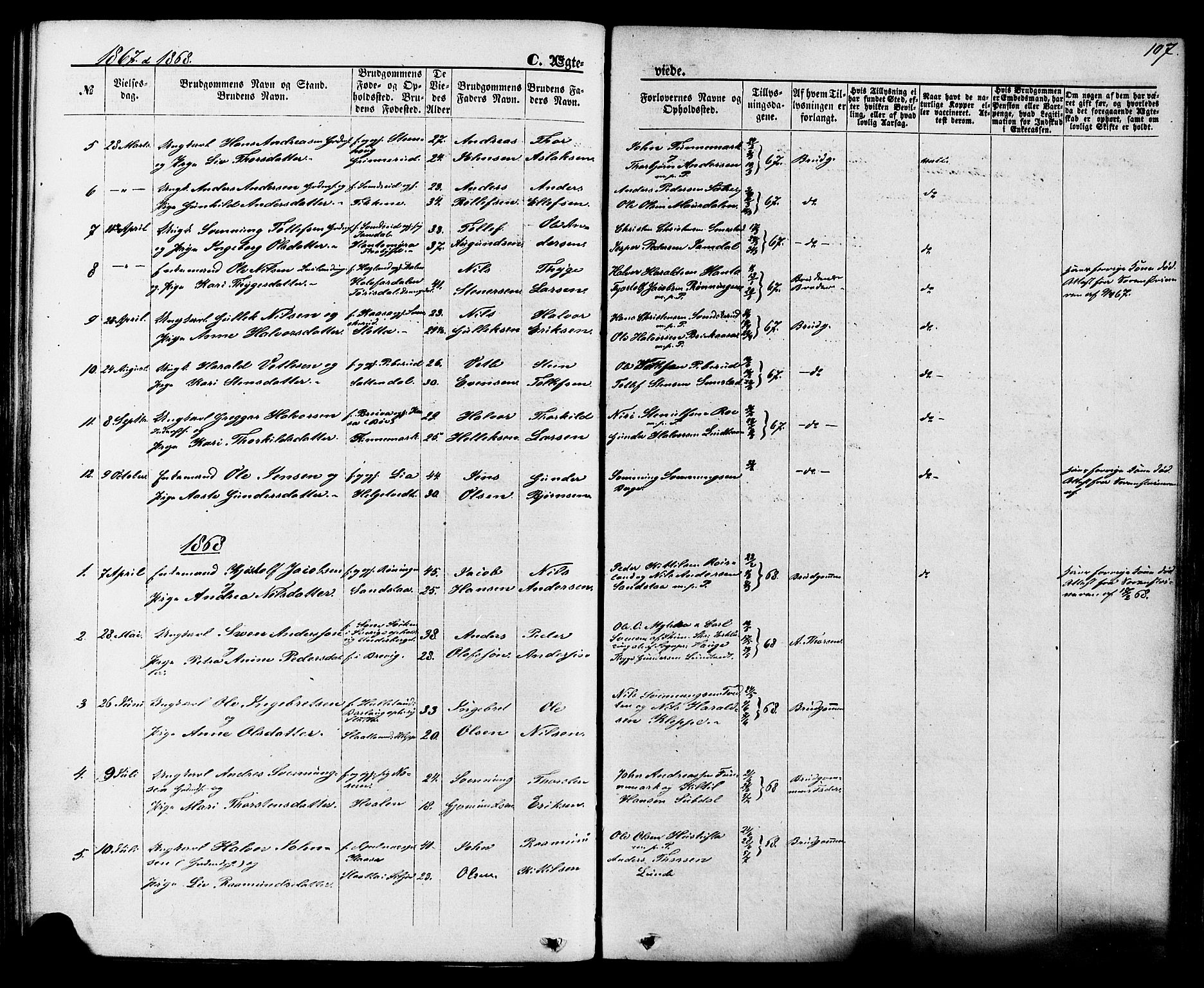 Lunde kirkebøker, SAKO/A-282/F/Fa/L0001: Parish register (official) no. I 1, 1866-1883, p. 107