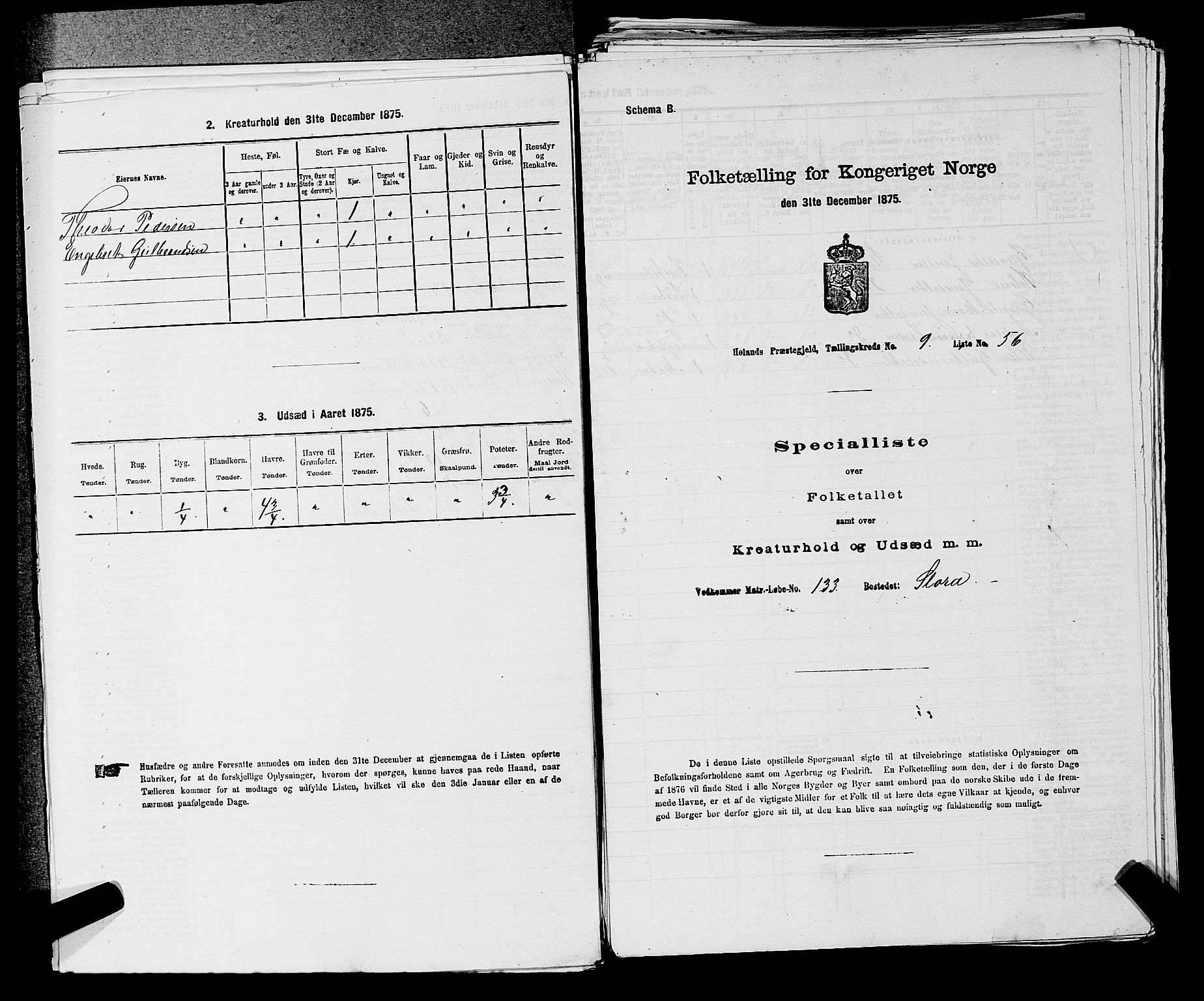 RA, 1875 census for 0221P Høland, 1875, p. 1658