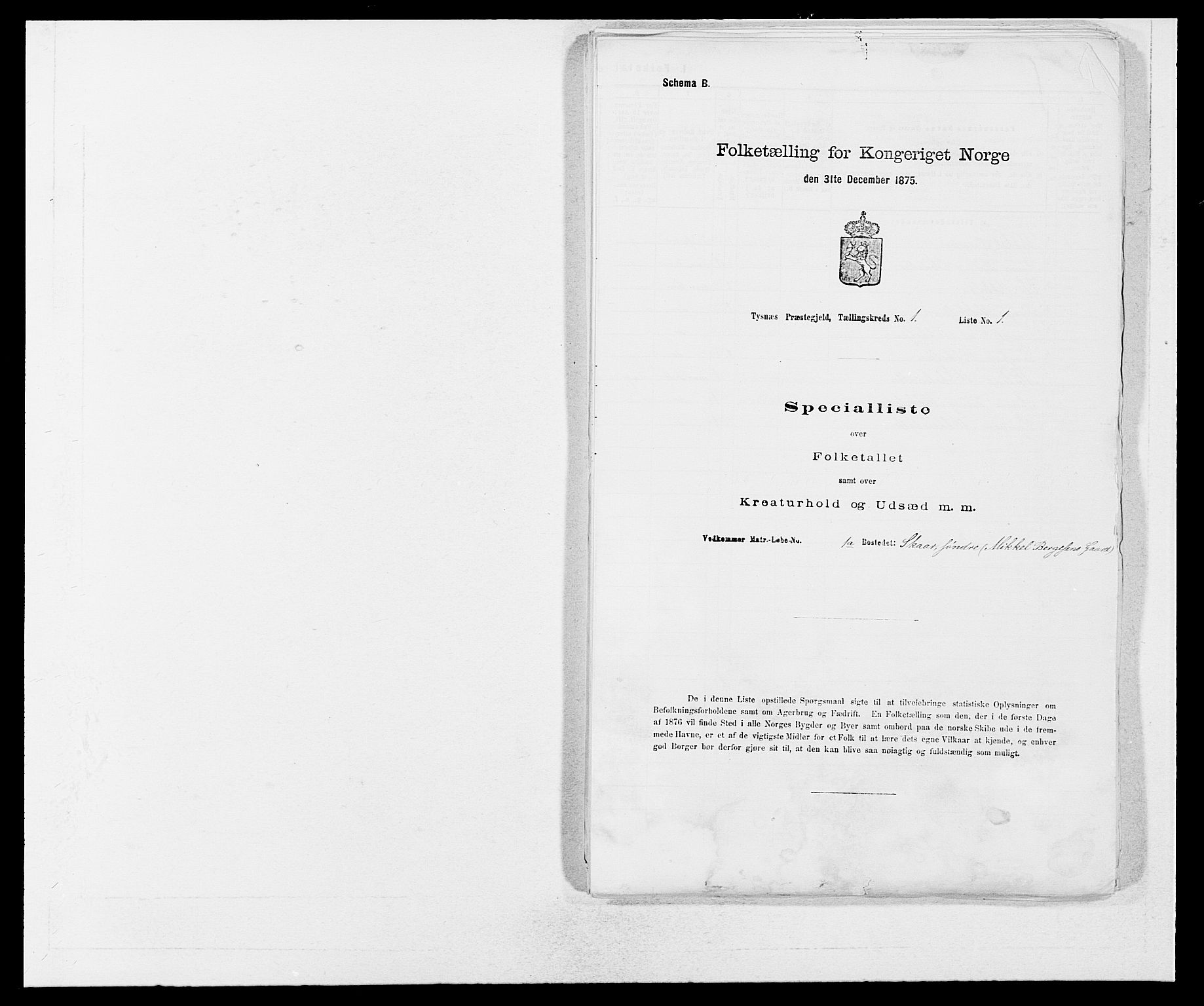 SAB, 1875 census for 1223P Tysnes, 1875, p. 31