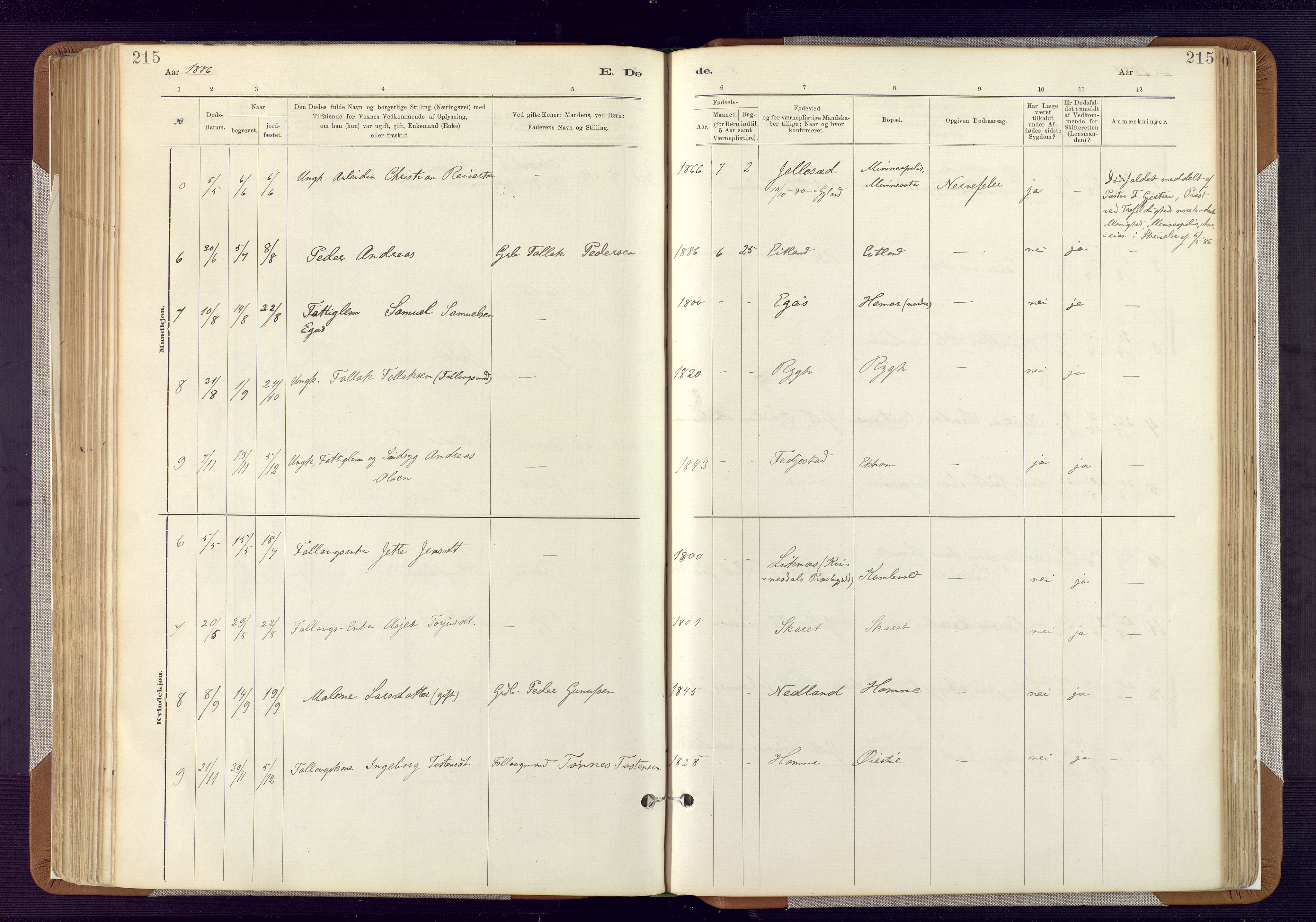 Bakke sokneprestkontor, AV/SAK-1111-0002/F/Fa/Fab/L0003: Parish register (official) no. A 3, 1884-1921, p. 215