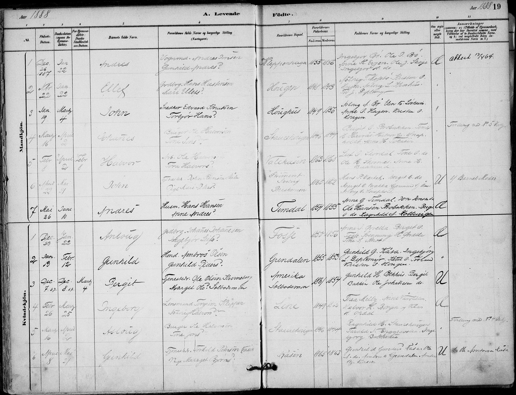 Hjartdal kirkebøker, SAKO/A-270/F/Fb/L0002: Parish register (official) no. II 2, 1880-1932, p. 19