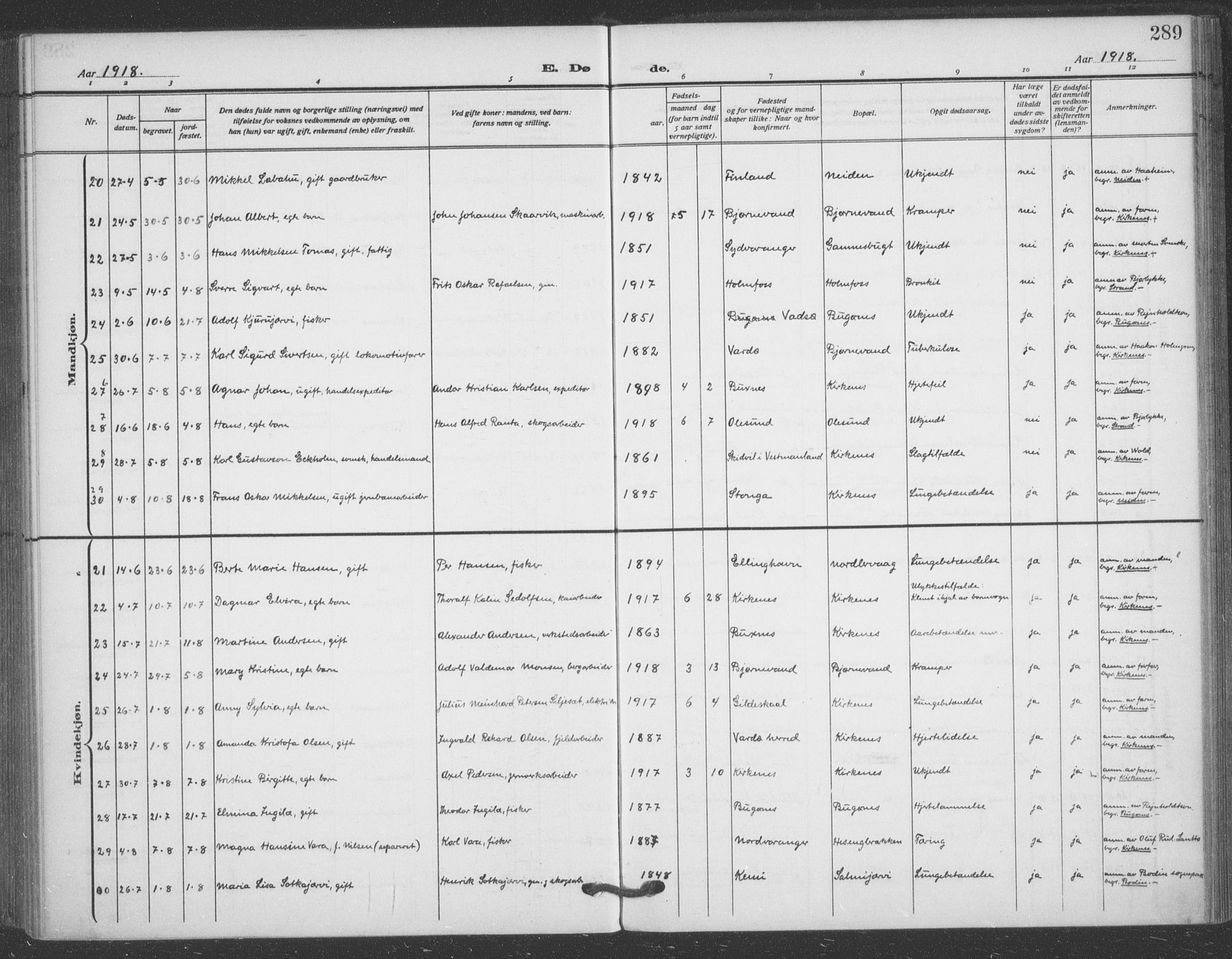 Sør-Varanger sokneprestkontor, AV/SATØ-S-1331/H/Ha/L0005kirke: Parish register (official) no. 5, 1909-1919, p. 289