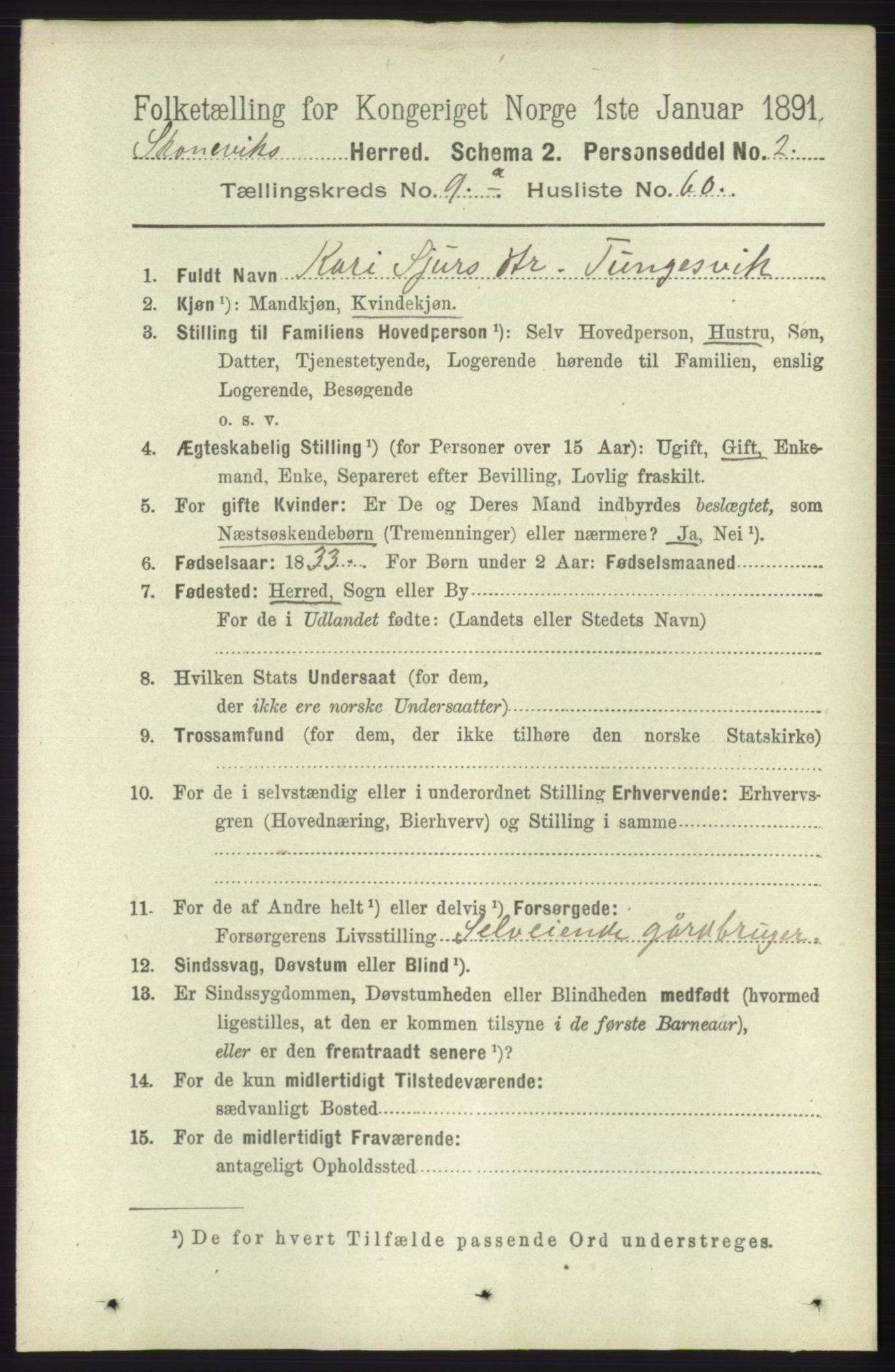 RA, 1891 census for 1212 Skånevik, 1891, p. 2847