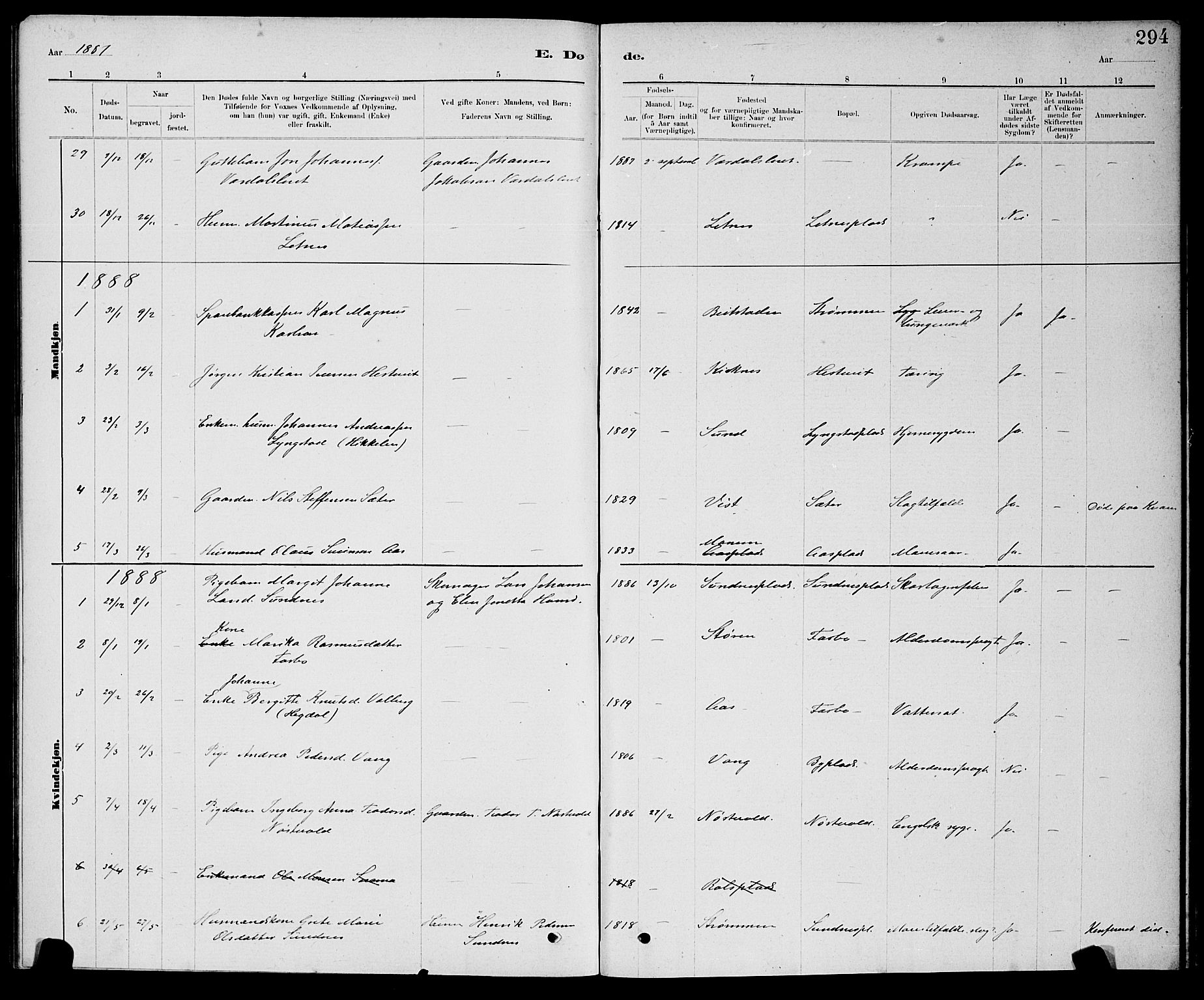 Ministerialprotokoller, klokkerbøker og fødselsregistre - Nord-Trøndelag, SAT/A-1458/730/L0301: Parish register (copy) no. 730C04, 1880-1897, p. 294