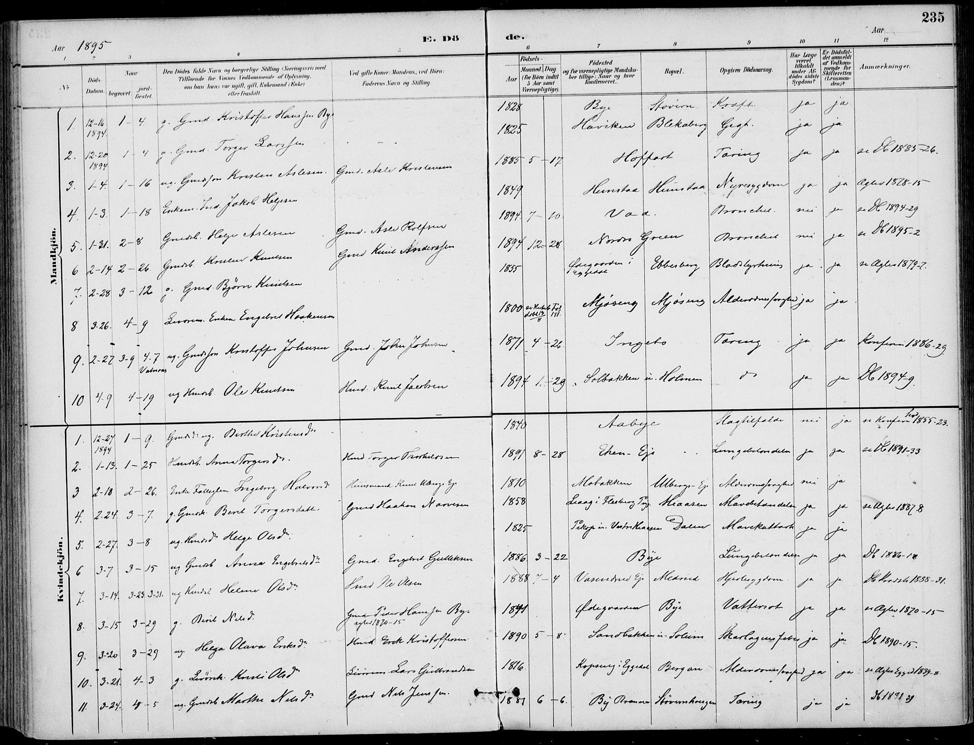 Sigdal kirkebøker, SAKO/A-245/F/Fb/L0001: Parish register (official) no. II 1, 1888-1900, p. 235