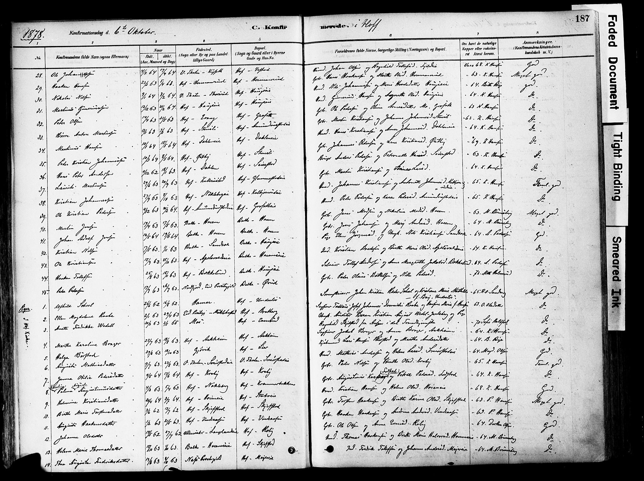 Østre Toten prestekontor, AV/SAH-PREST-104/H/Ha/Haa/L0006: Parish register (official) no. 6 /1, 1878-1896, p. 187