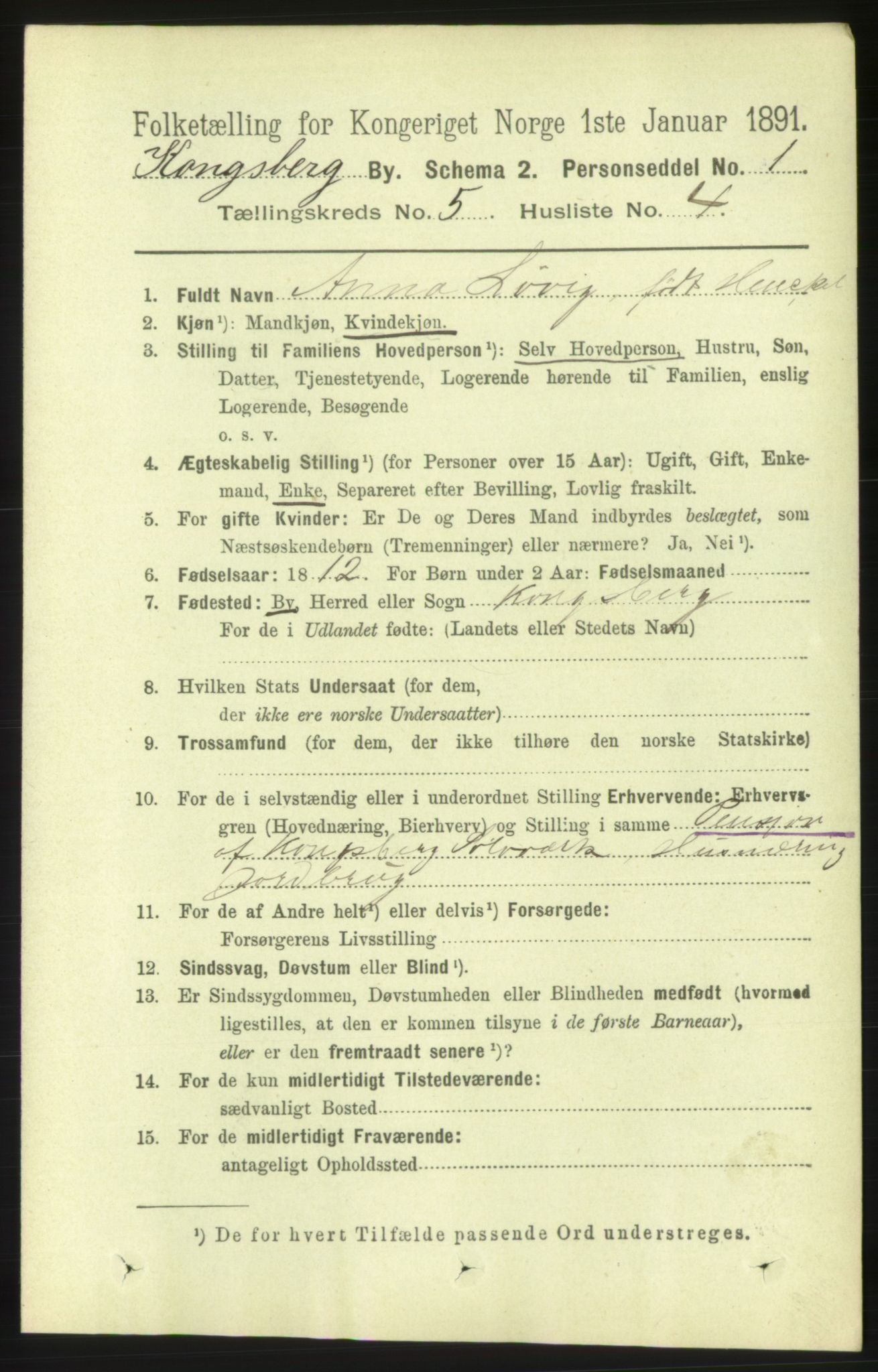 RA, 1891 census for 0604 Kongsberg, 1891, p. 4177