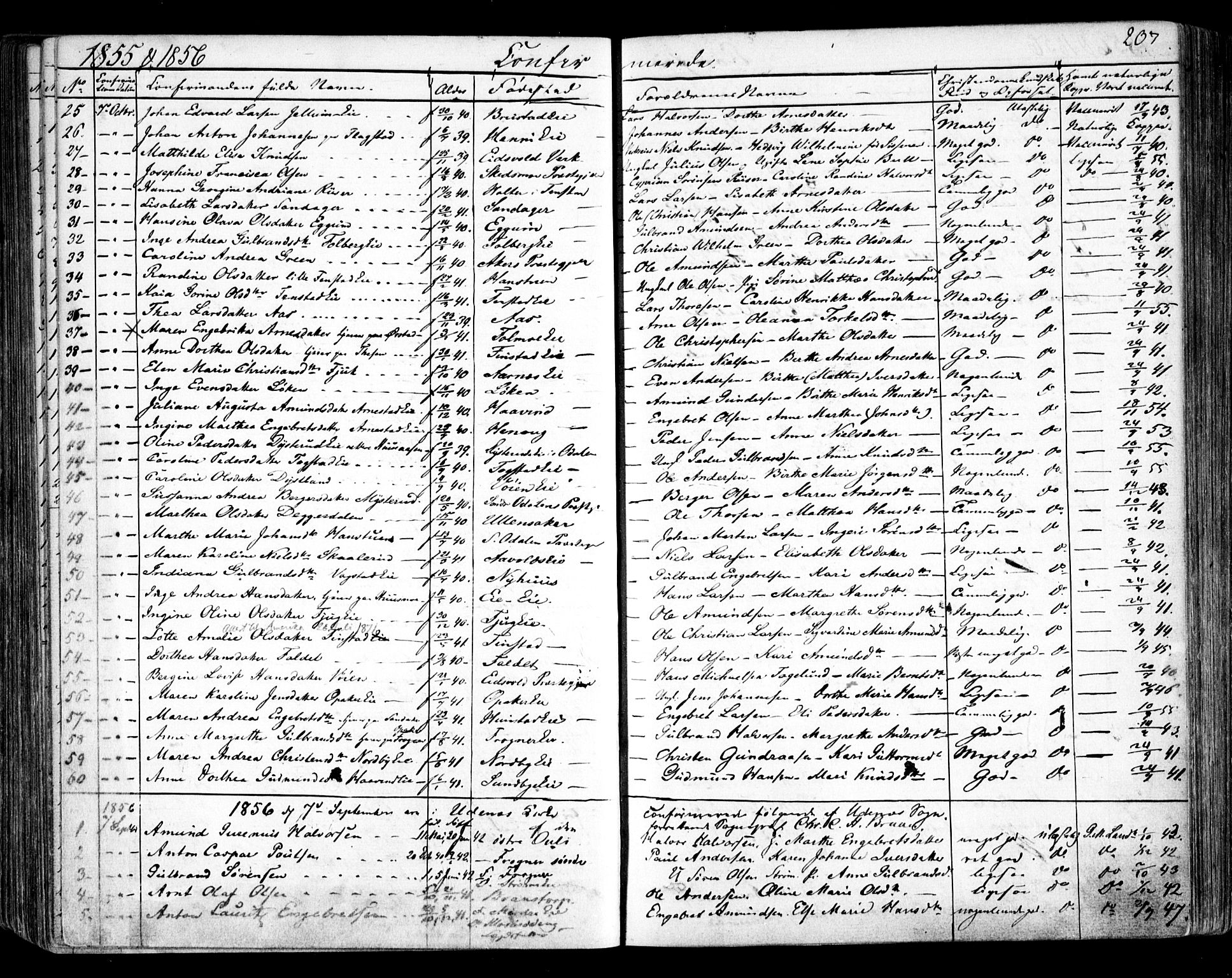 Nes prestekontor Kirkebøker, AV/SAO-A-10410/F/Fa/L0007: Parish register (official) no. I 7, 1846-1858, p. 207