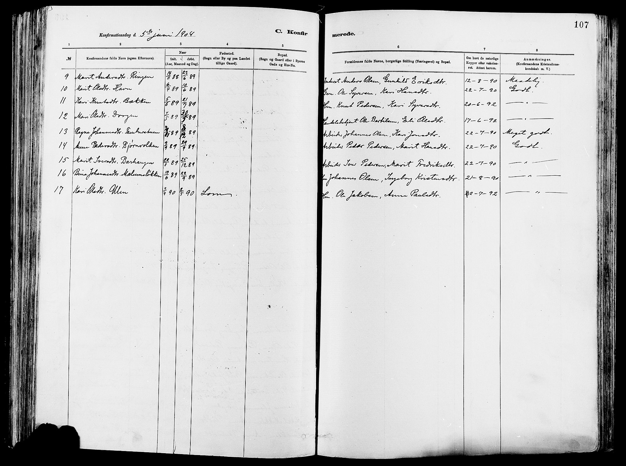 Vågå prestekontor, AV/SAH-PREST-076/H/Ha/Haa/L0008: Parish register (official) no. 8, 1886-1904, p. 107