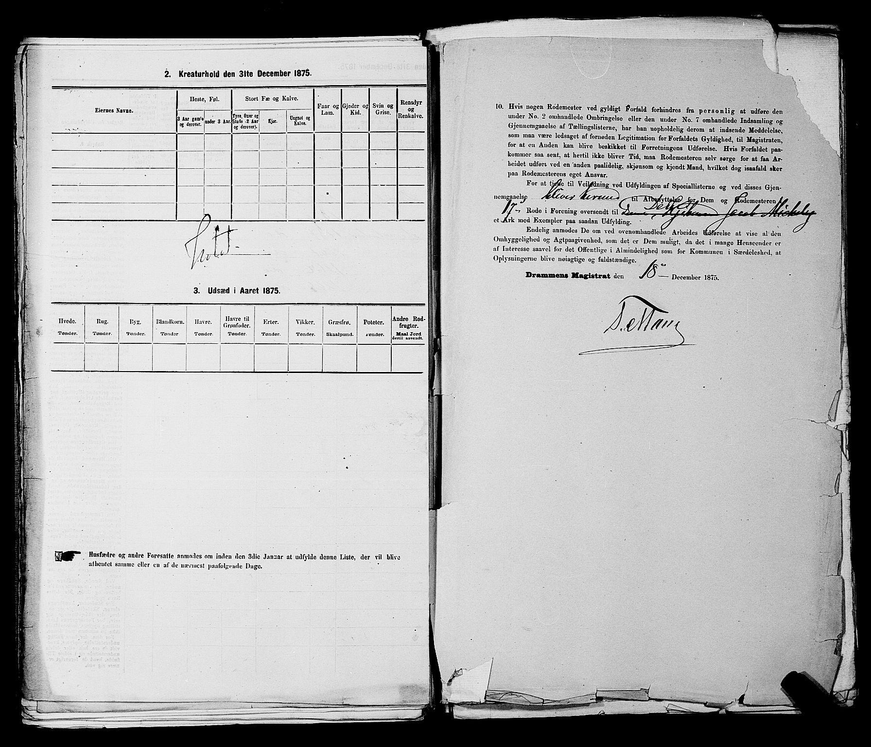 SAKO, 1875 census for 0602 Drammen, 1875, p. 2018