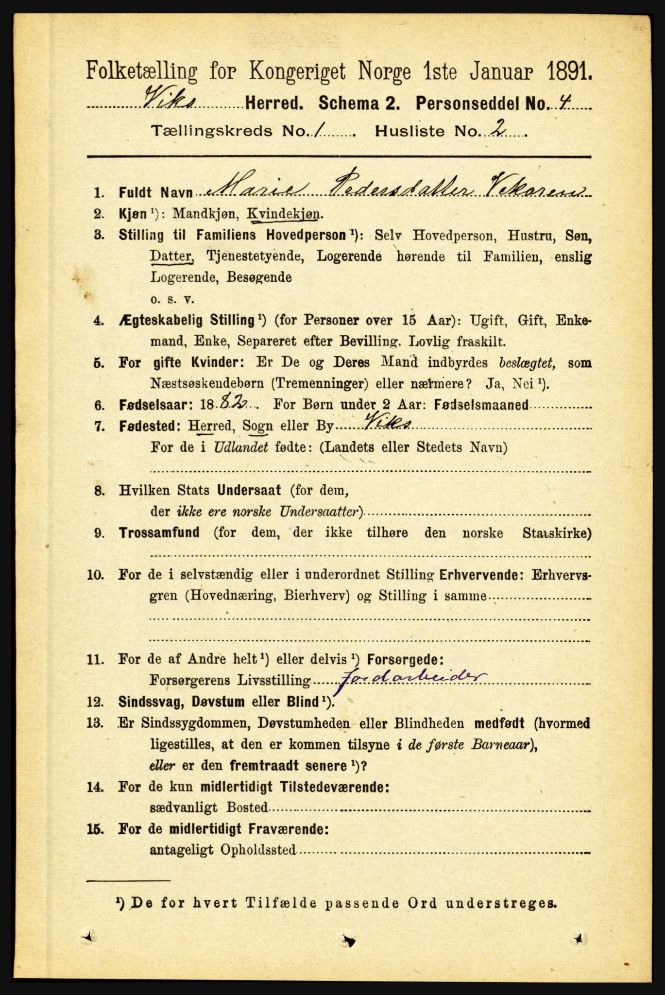 RA, 1891 census for 1417 Vik, 1891, p. 141