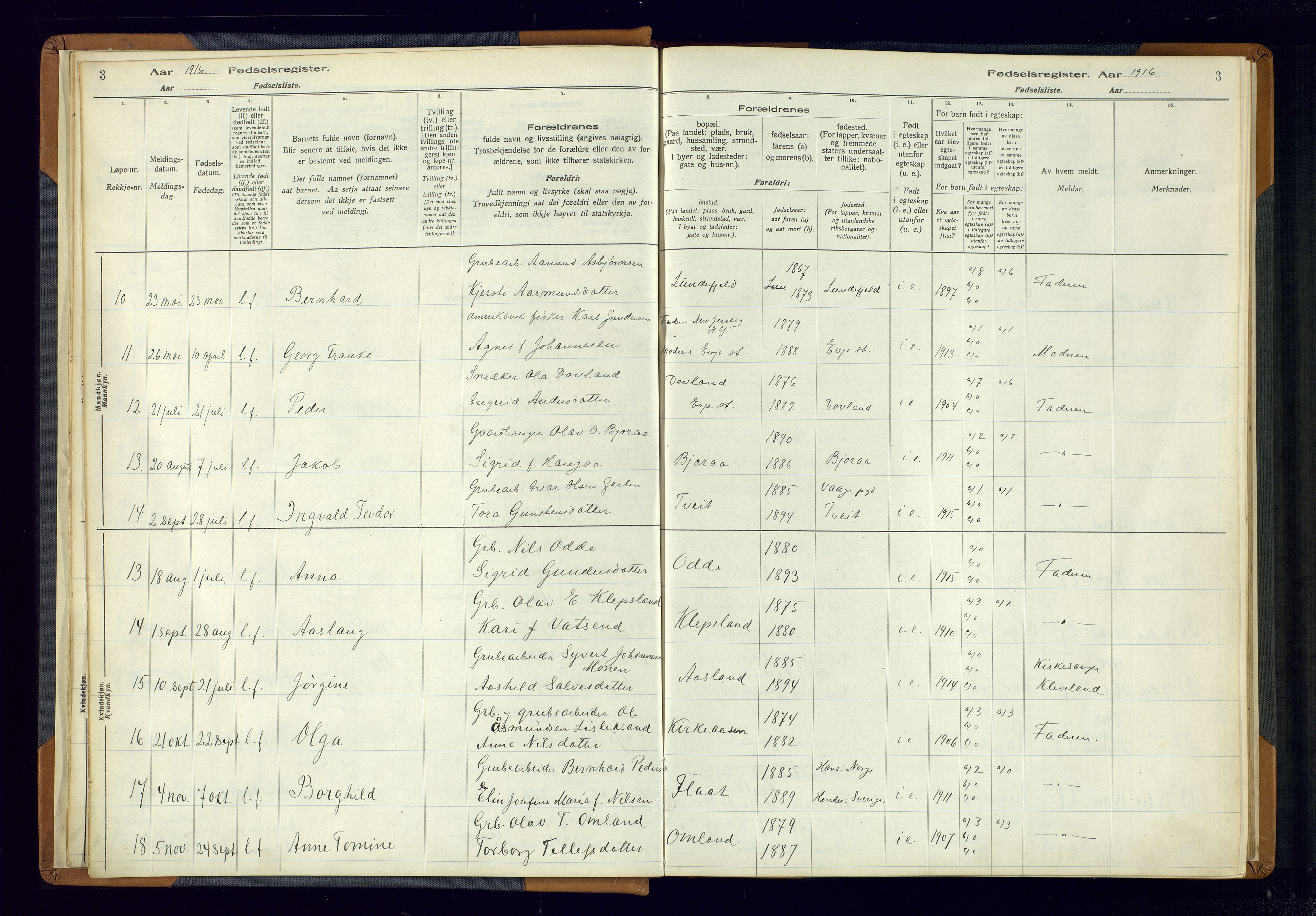 Evje sokneprestkontor, AV/SAK-1111-0008/J/Jc/L0004: Birth register no. 4, 1916-1968, p. 3