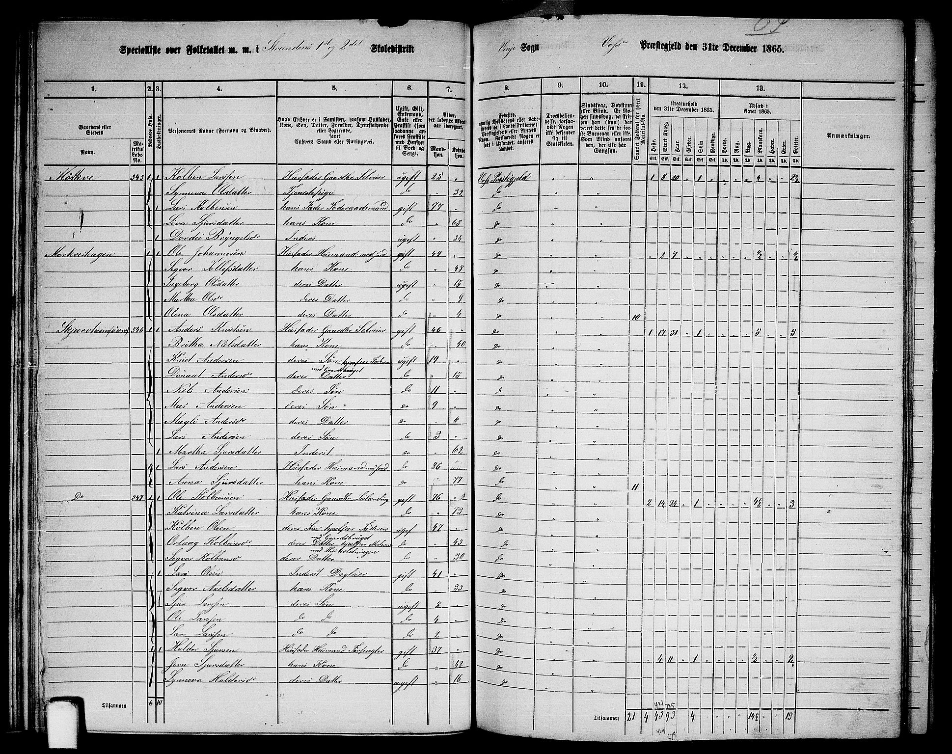 RA, 1865 census for Voss, 1865, p. 298