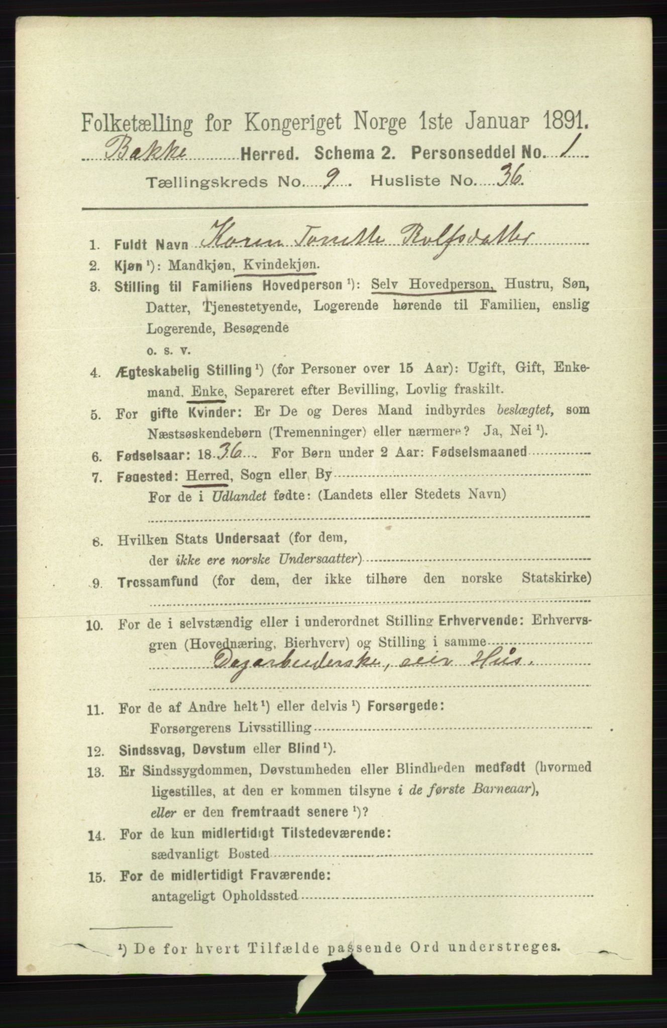 RA, 1891 census for 1045 Bakke, 1891, p. 1951