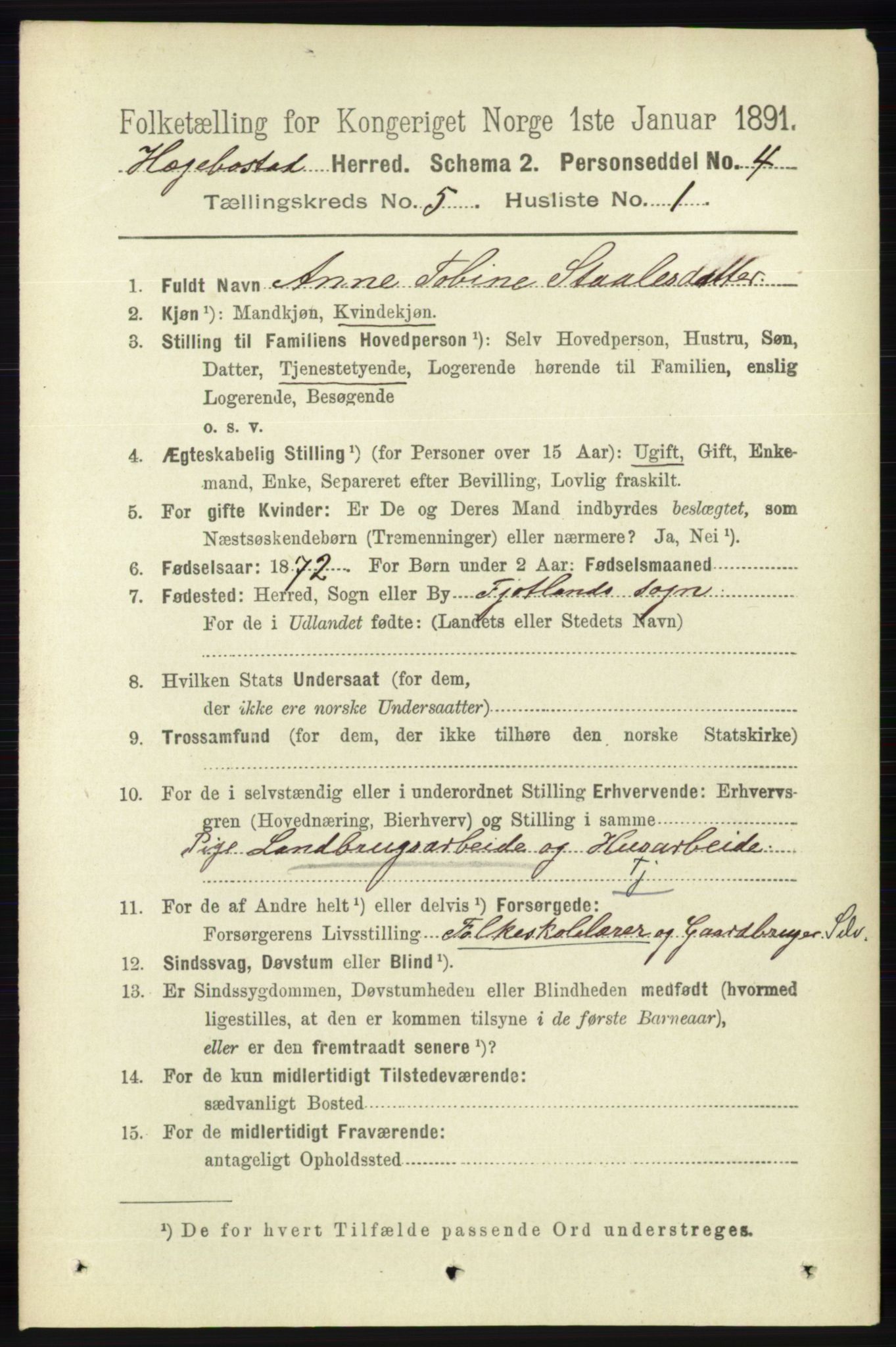 RA, 1891 census for 1034 Hægebostad, 1891, p. 1493