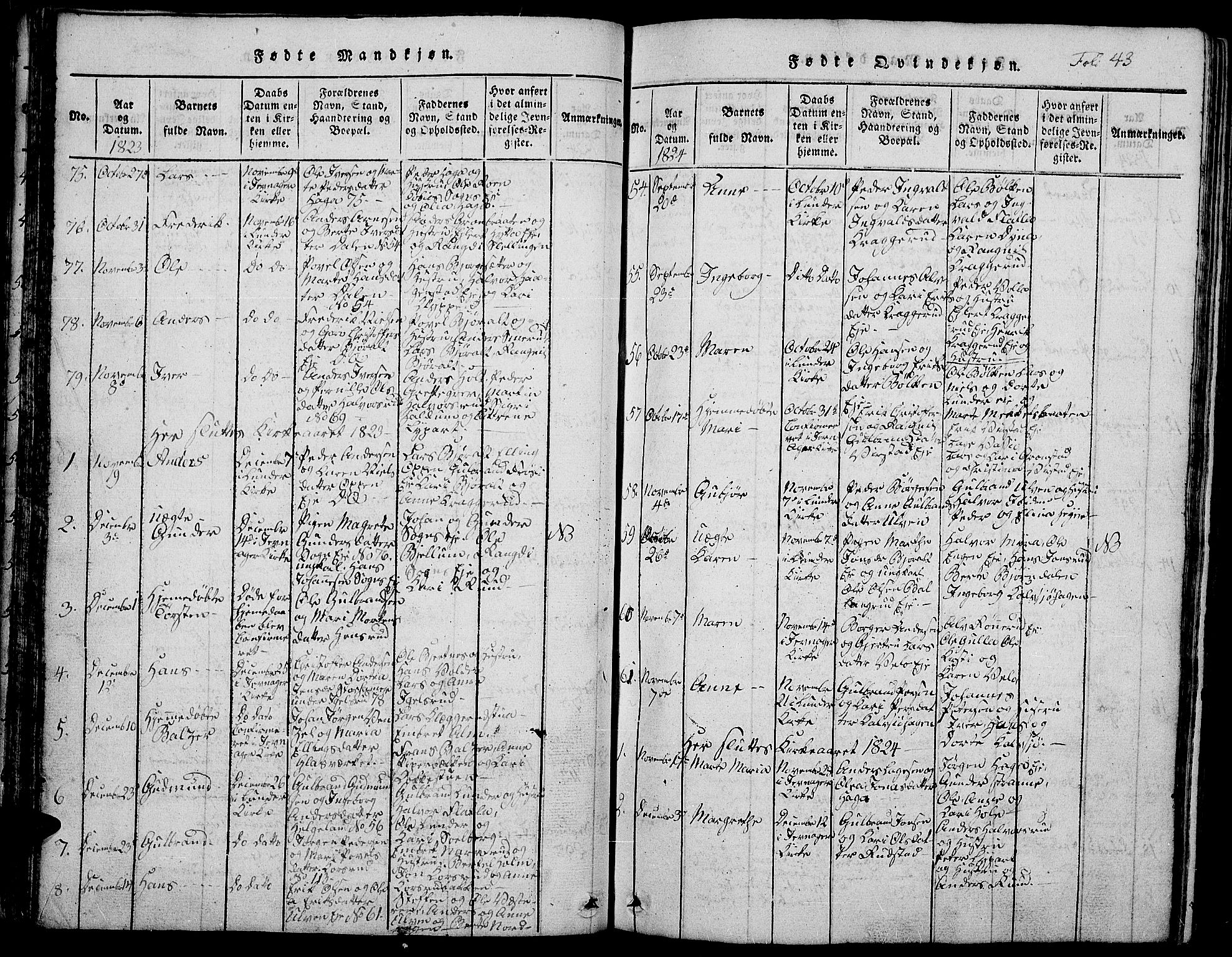 Jevnaker prestekontor, SAH/PREST-116/H/Ha/Hab/L0001: Parish register (copy) no. 1, 1815-1837, p. 43