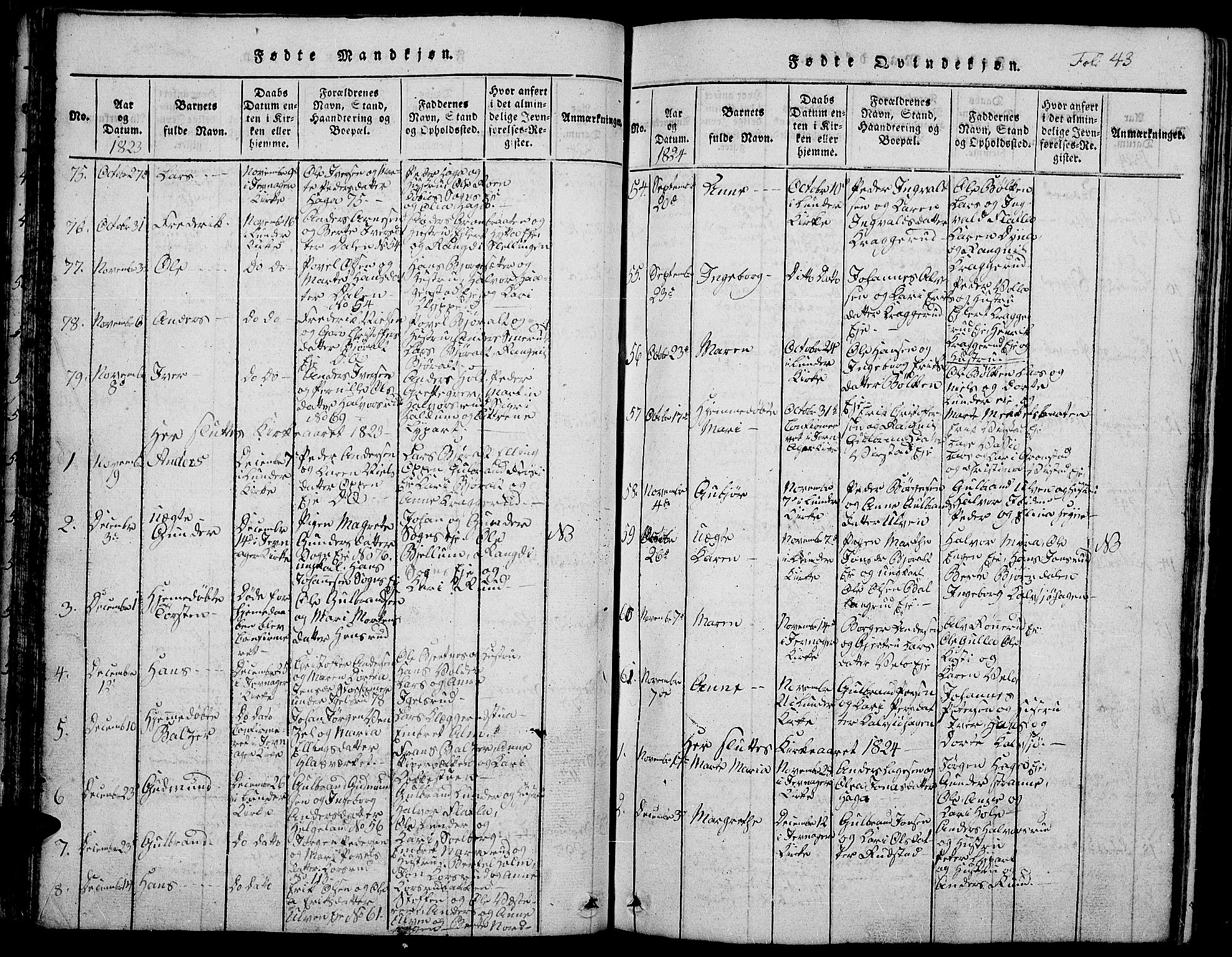 Jevnaker prestekontor, AV/SAH-PREST-116/H/Ha/Hab/L0001: Parish register (copy) no. 1, 1815-1837, p. 43