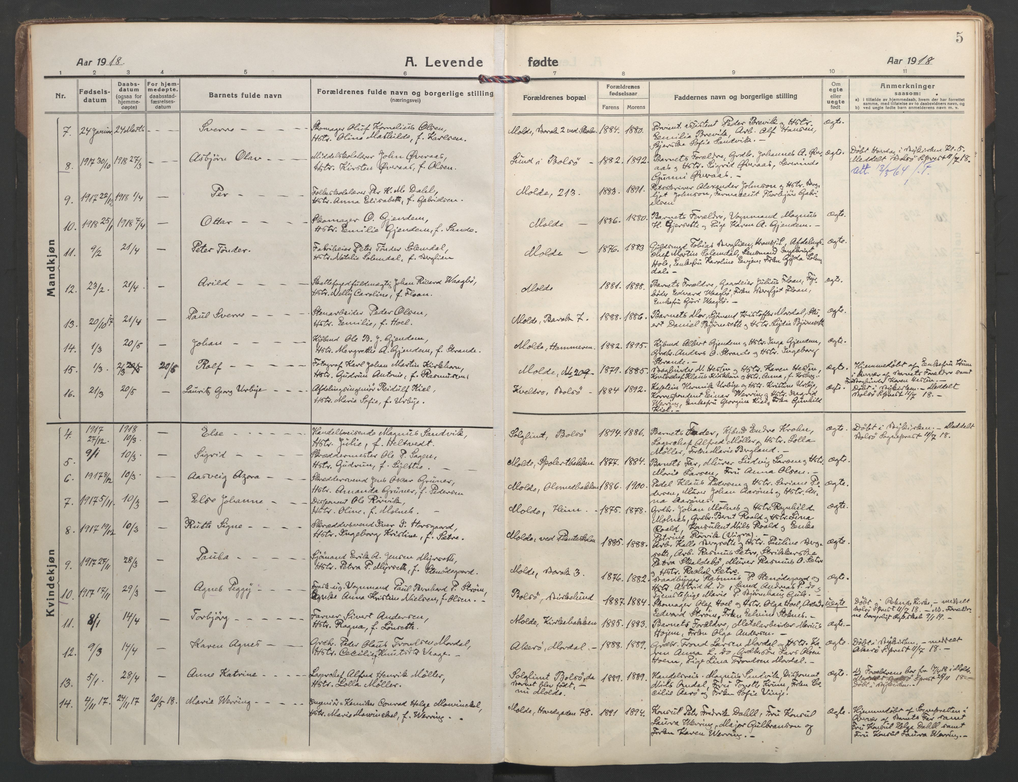 Ministerialprotokoller, klokkerbøker og fødselsregistre - Møre og Romsdal, SAT/A-1454/558/L0696: Parish register (official) no. 558A10, 1917-1929, p. 5