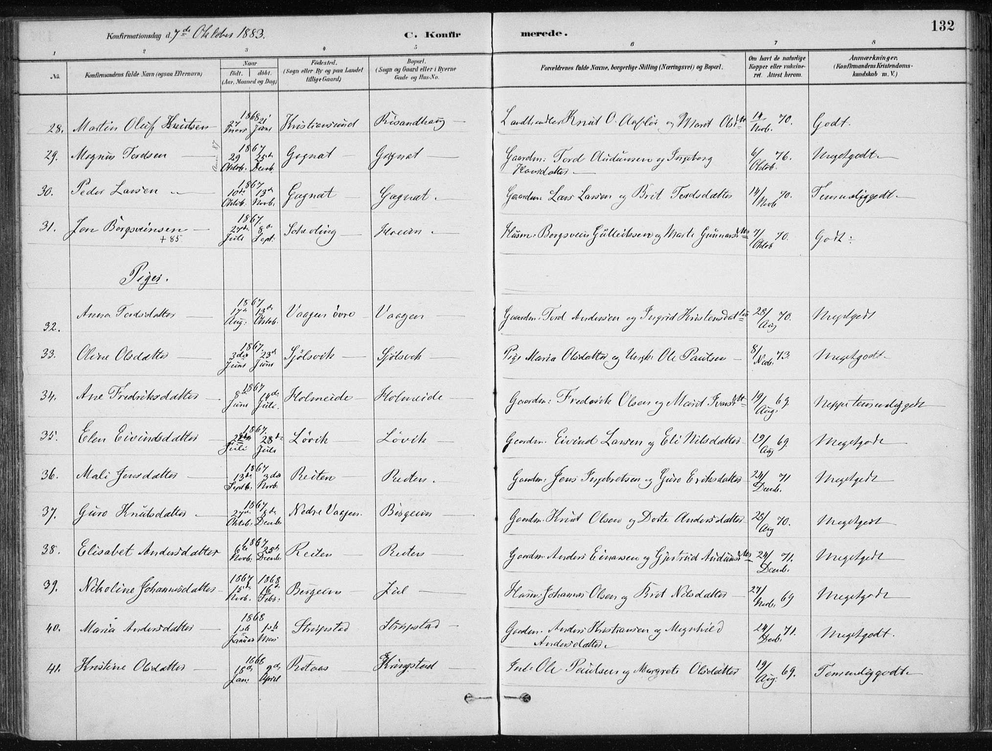 Ministerialprotokoller, klokkerbøker og fødselsregistre - Møre og Romsdal, AV/SAT-A-1454/586/L0987: Parish register (official) no. 586A13, 1879-1892, p. 132