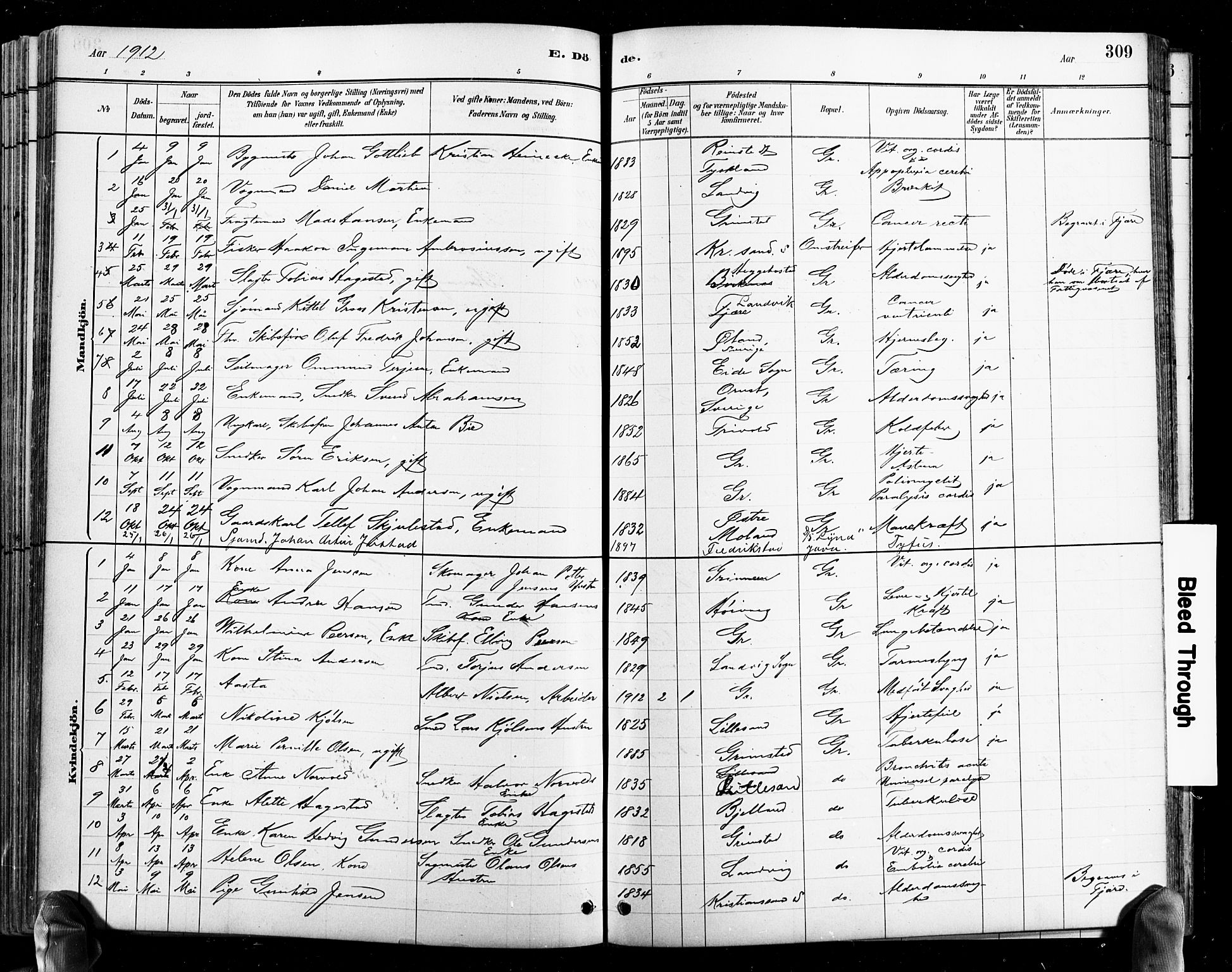 Grimstad sokneprestkontor, AV/SAK-1111-0017/F/Fb/L0001: Parish register (copy) no. B 1, 1881-1922, p. 309