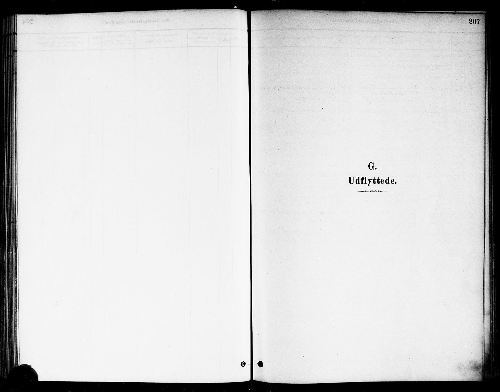 Eidsberg prestekontor Kirkebøker, SAO/A-10905/F/Fb/L0001: Parish register (official) no. II 1, 1879-1900, p. 207