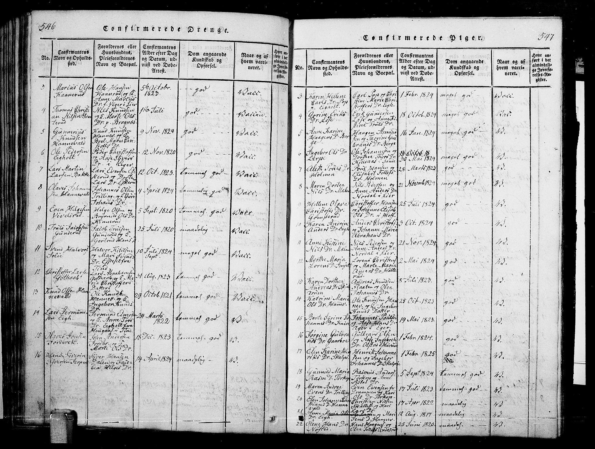 Skoger kirkebøker, SAKO/A-59/G/Ga/L0001: Parish register (copy) no. I 1, 1814-1845, p. 546-547