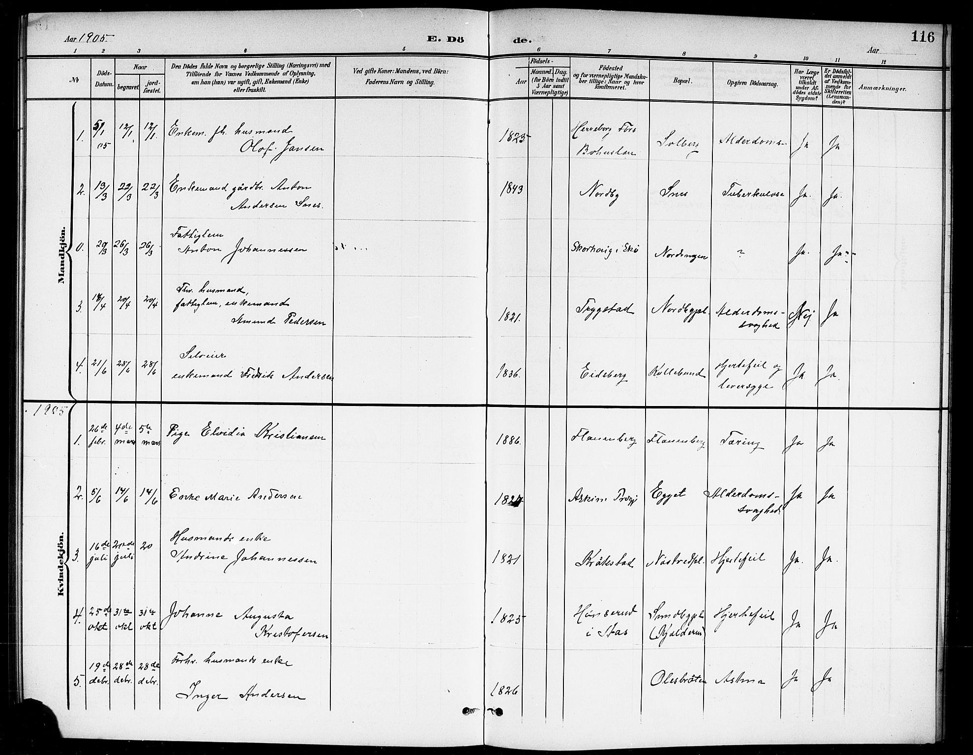 Ås prestekontor Kirkebøker, SAO/A-10894/G/Gb/L0001: Parish register (copy) no. II 1, 1901-1920, p. 116