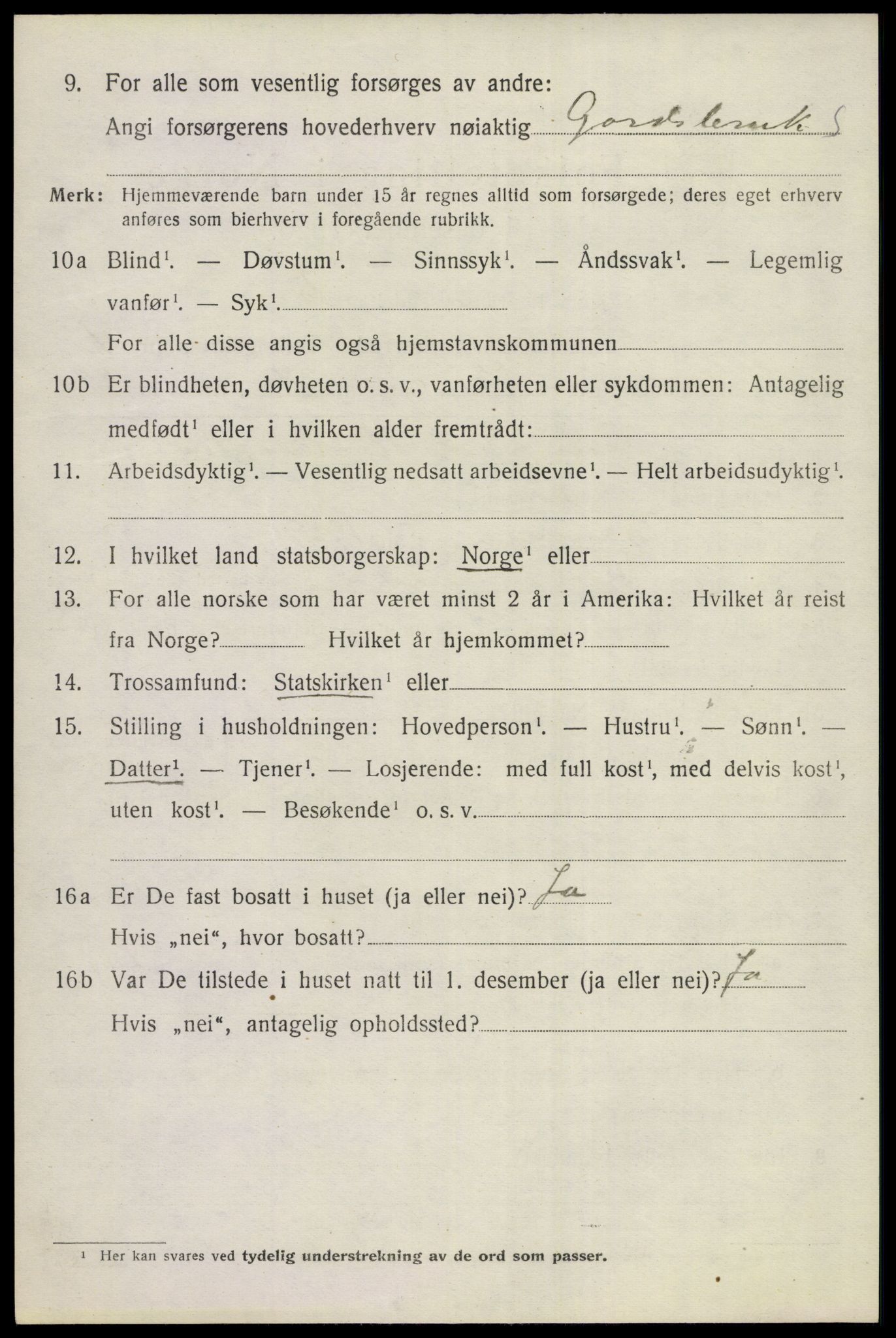 SAKO, 1920 census for Hol (Buskerud), 1920, p. 2782