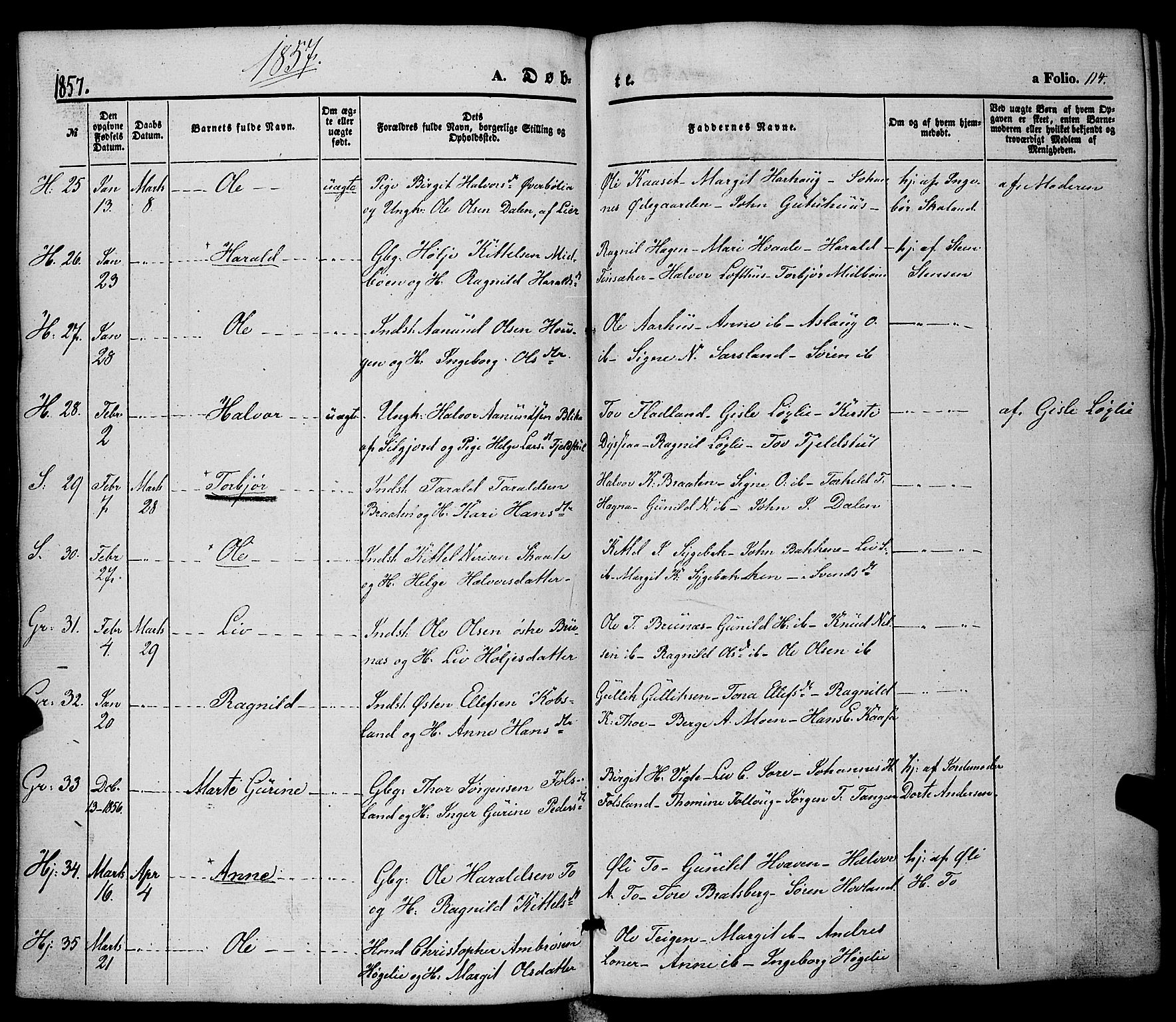 Hjartdal kirkebøker, AV/SAKO-A-270/F/Fa/L0008: Parish register (official) no. I 8, 1844-1859, p. 114
