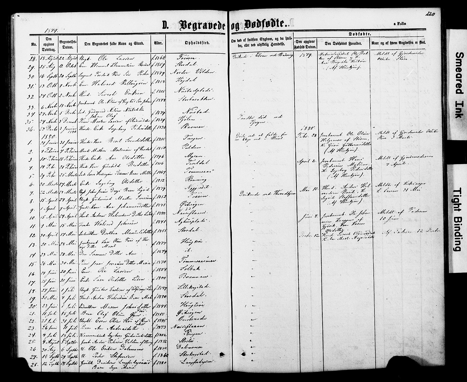 Ministerialprotokoller, klokkerbøker og fødselsregistre - Nord-Trøndelag, SAT/A-1458/706/L0049: Parish register (copy) no. 706C01, 1864-1895, p. 220