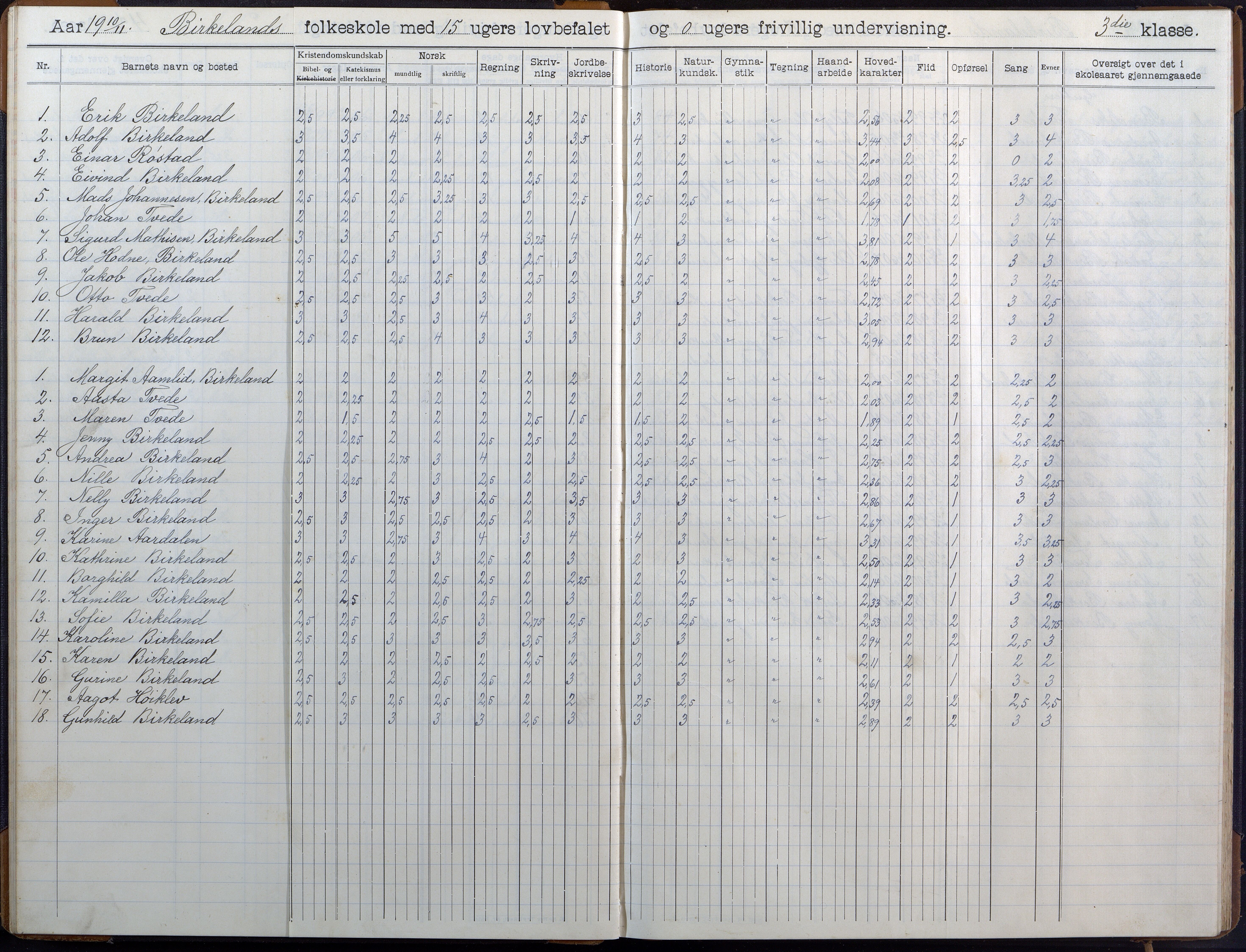 Birkenes kommune, Birkenes krets/Birkeland folkeskole frem til 1991, AAKS/KA0928-550a_91/F02/L0007: Skoleprotokoll, 1907-1931