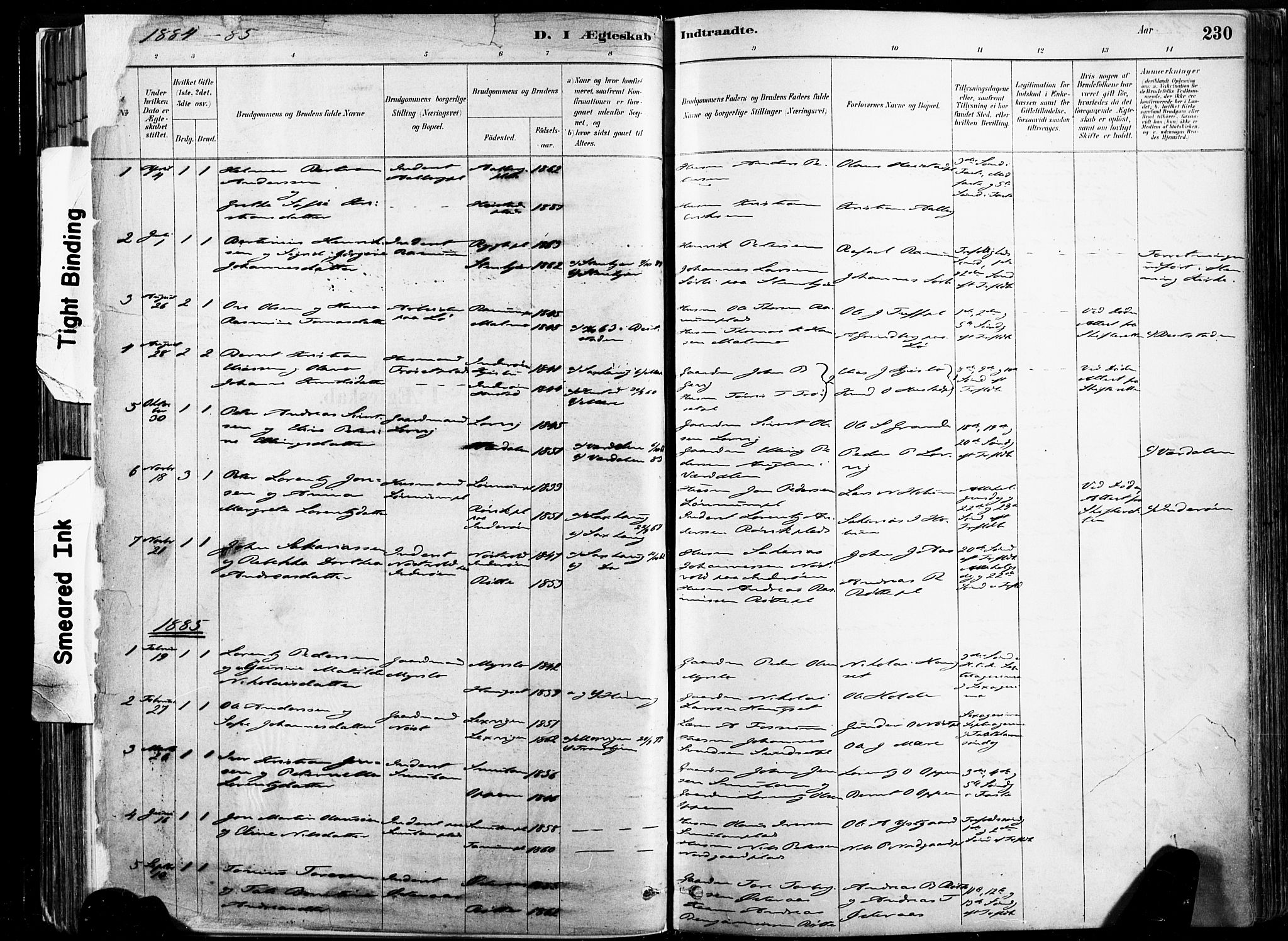 Ministerialprotokoller, klokkerbøker og fødselsregistre - Nord-Trøndelag, AV/SAT-A-1458/735/L0351: Parish register (official) no. 735A10, 1884-1908, p. 230