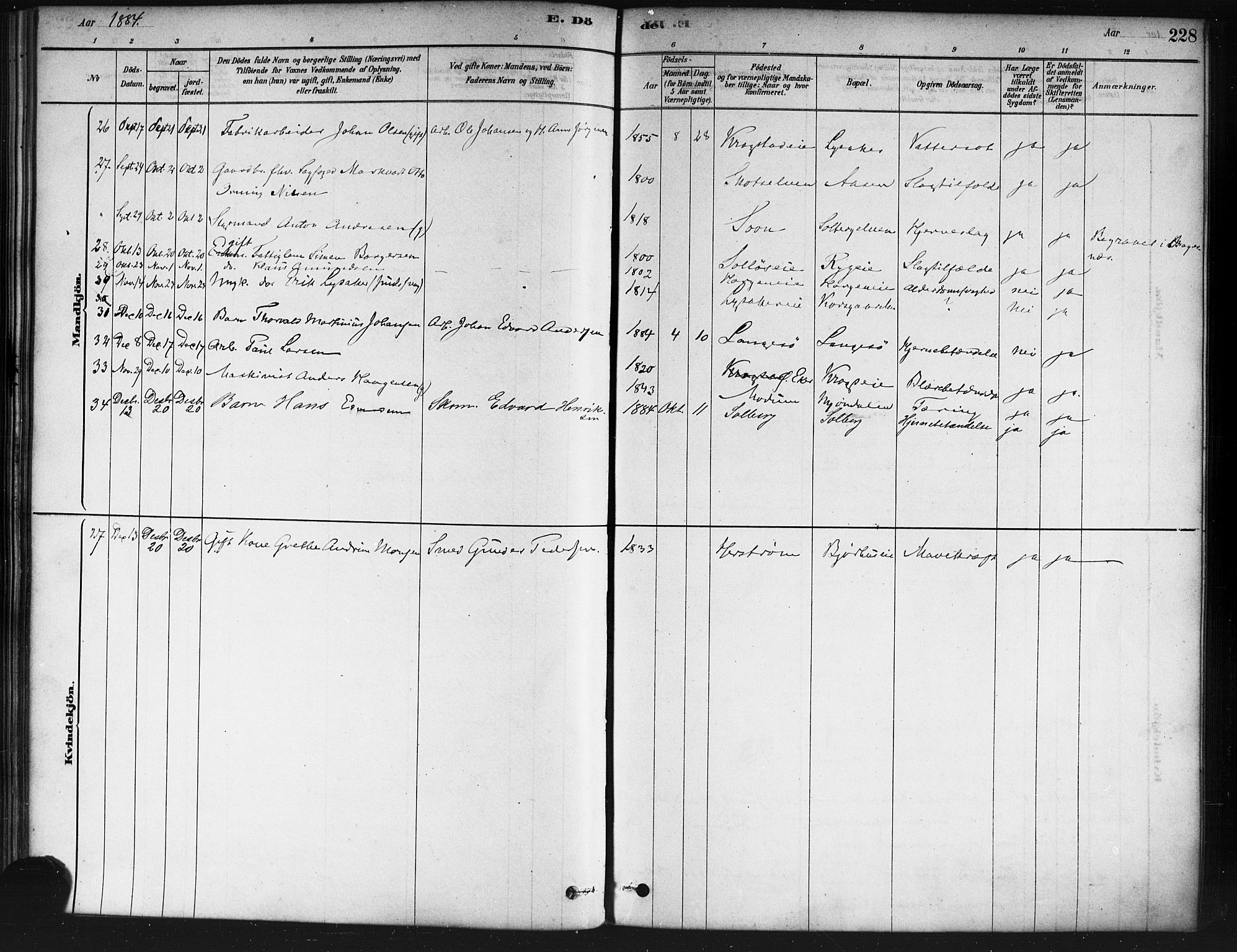 Nedre Eiker kirkebøker, SAKO/A-612/F/Fa/L0002: Parish register (official) no. 2, 1878-1885, p. 228