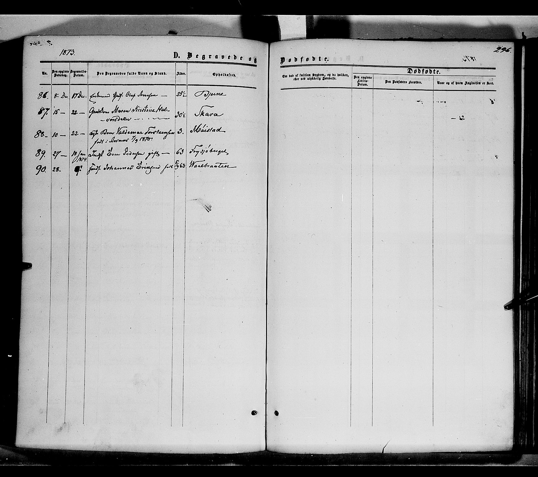 Grue prestekontor, AV/SAH-PREST-036/H/Ha/Haa/L0010: Parish register (official) no. 10, 1864-1873, p. 296