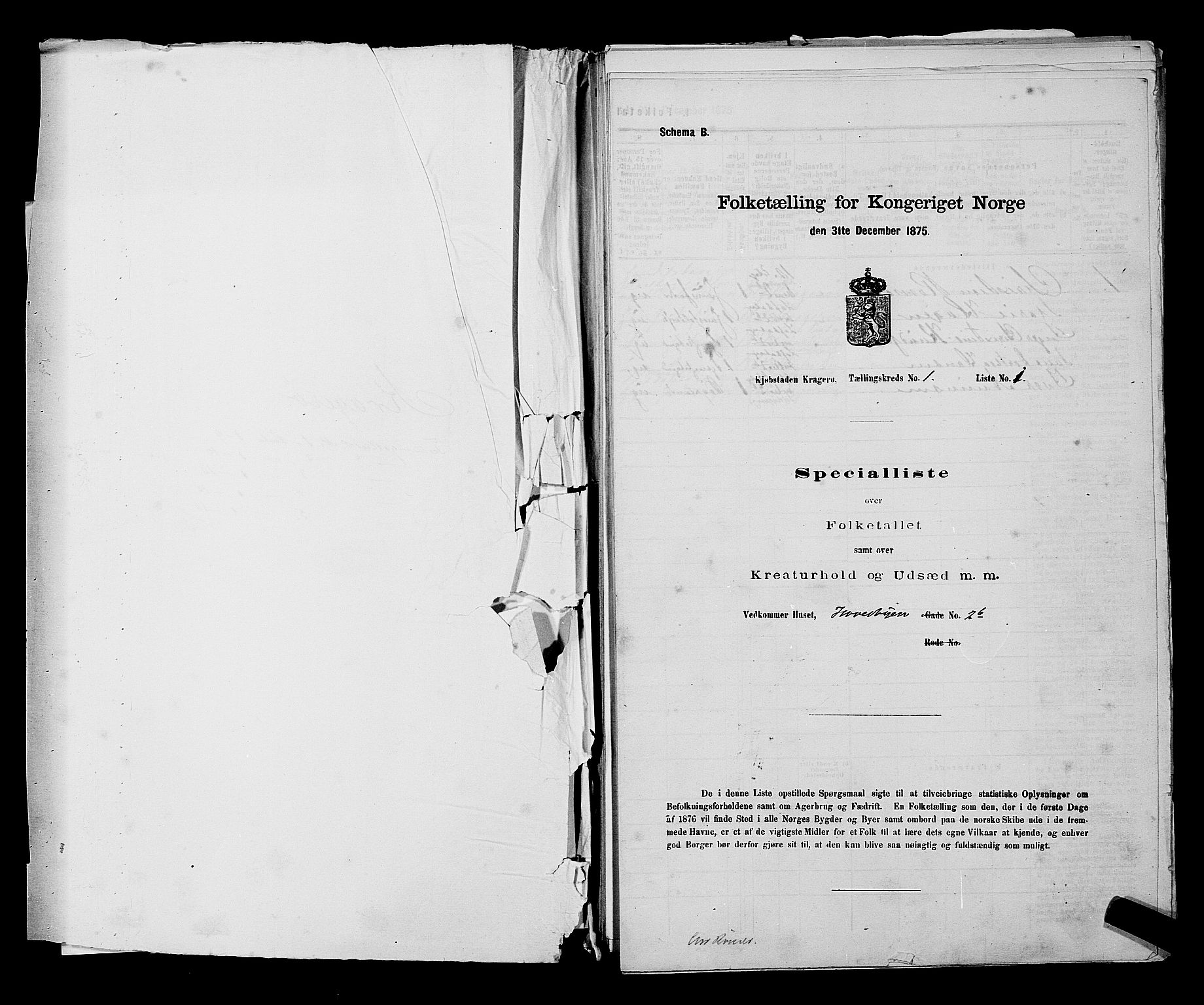 SAKO, 1875 census for 0801P Kragerø, 1875, p. 25