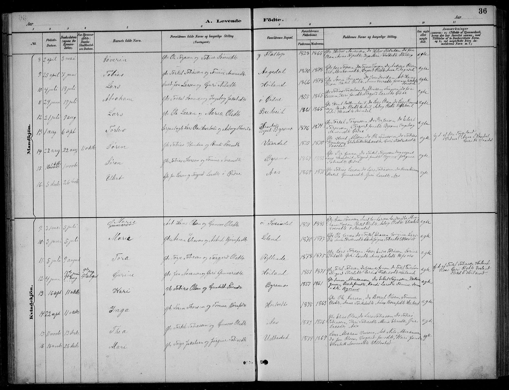 Bjelland sokneprestkontor, SAK/1111-0005/F/Fb/Fbc/L0003: Parish register (copy) no. B 3, 1887-1924, p. 36