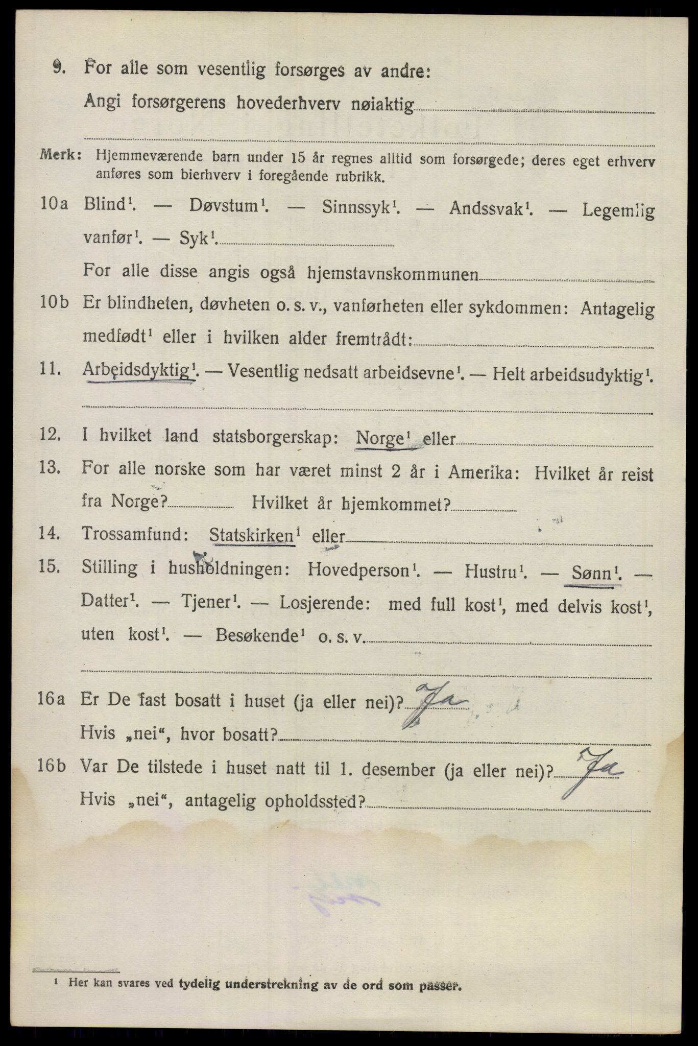 SAO, 1920 census for Nes, 1920, p. 3403