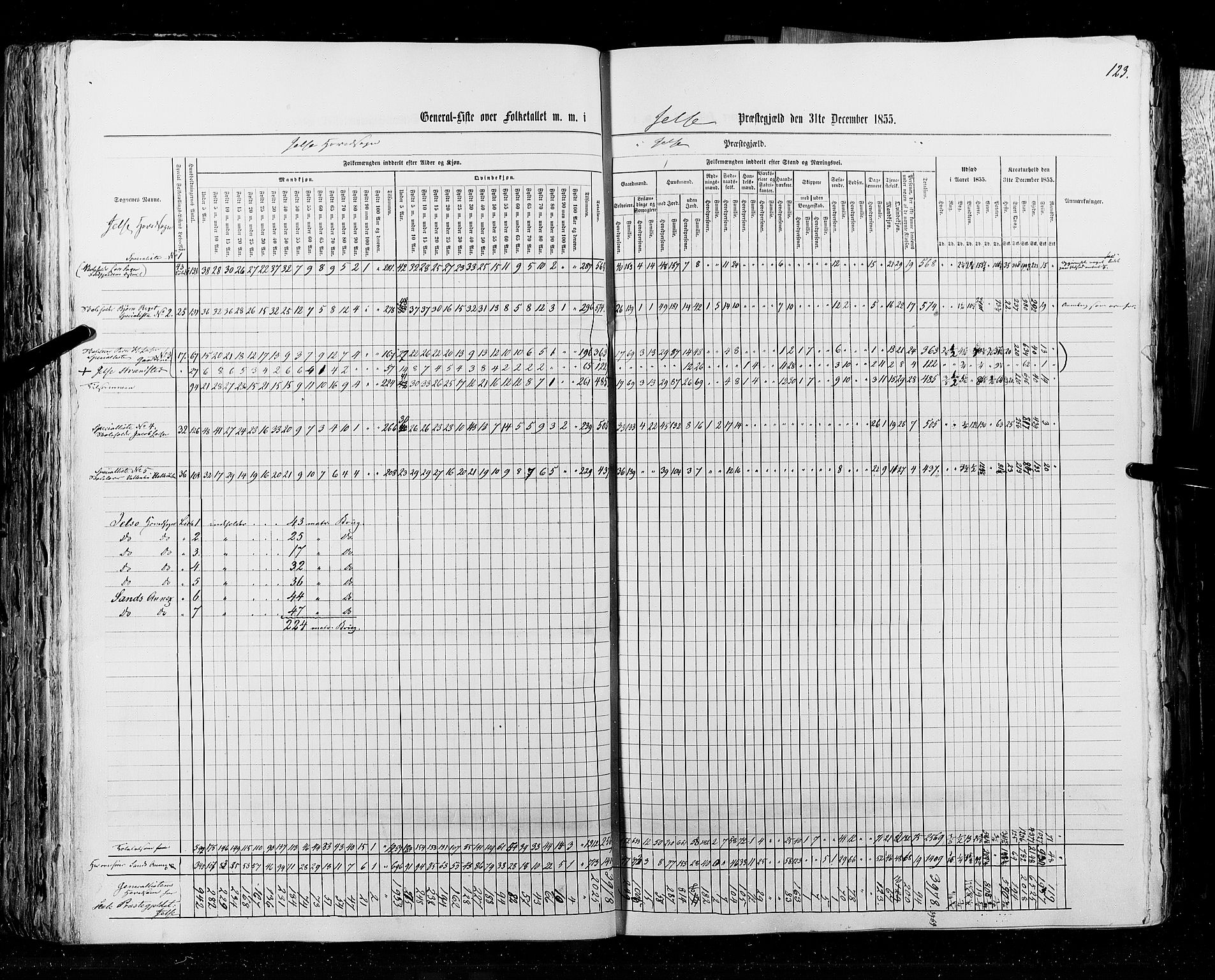 RA, Census 1855, vol. 4: Stavanger amt og Søndre Bergenhus amt, 1855, p. 123