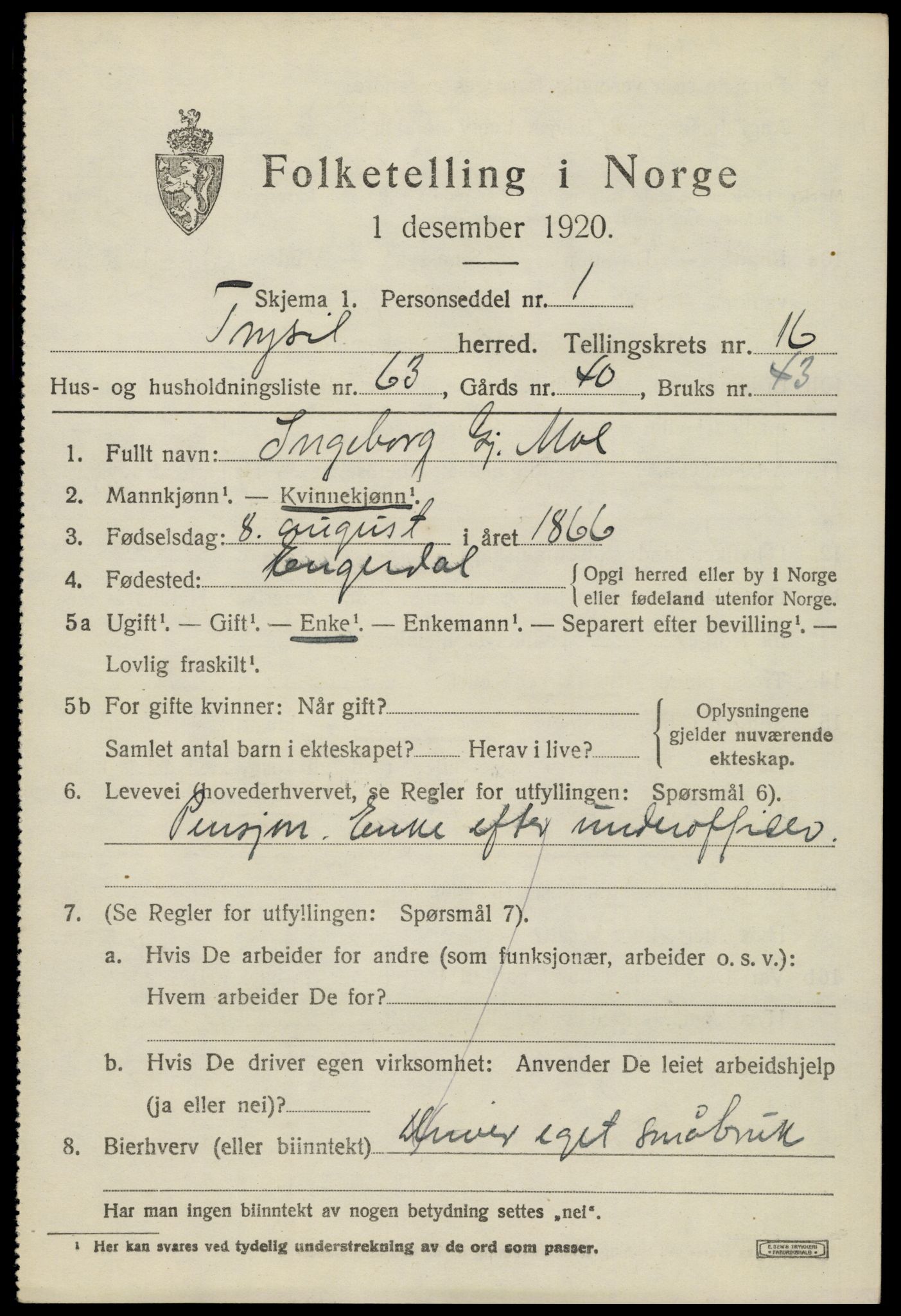 SAH, 1920 census for Trysil, 1920, p. 10159